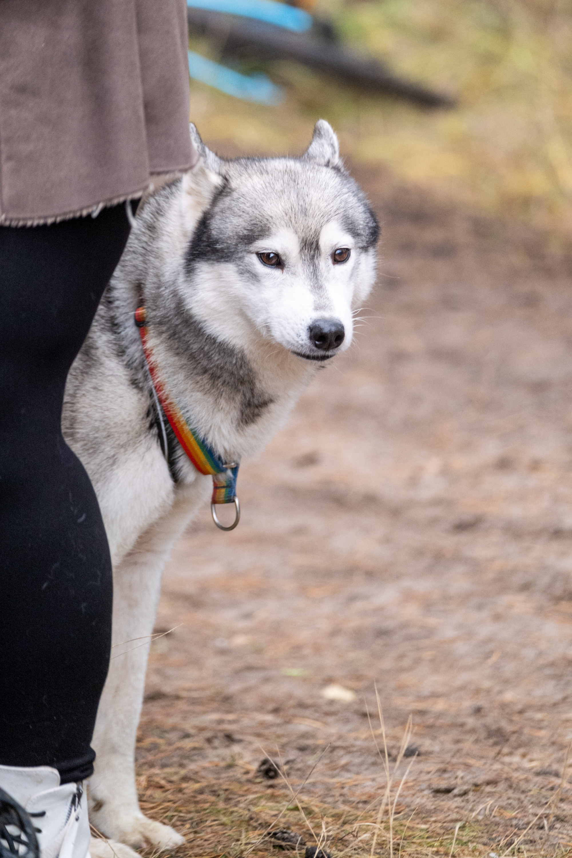 Алтын Буре. Репортажный фотограф в Казани Павел Серпокрылов