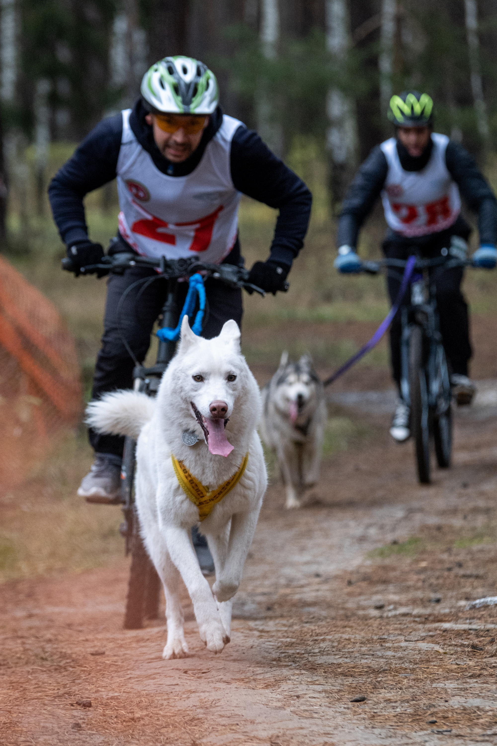 Алтын Буре. Репортажный фотограф в Казани Павел Серпокрылов