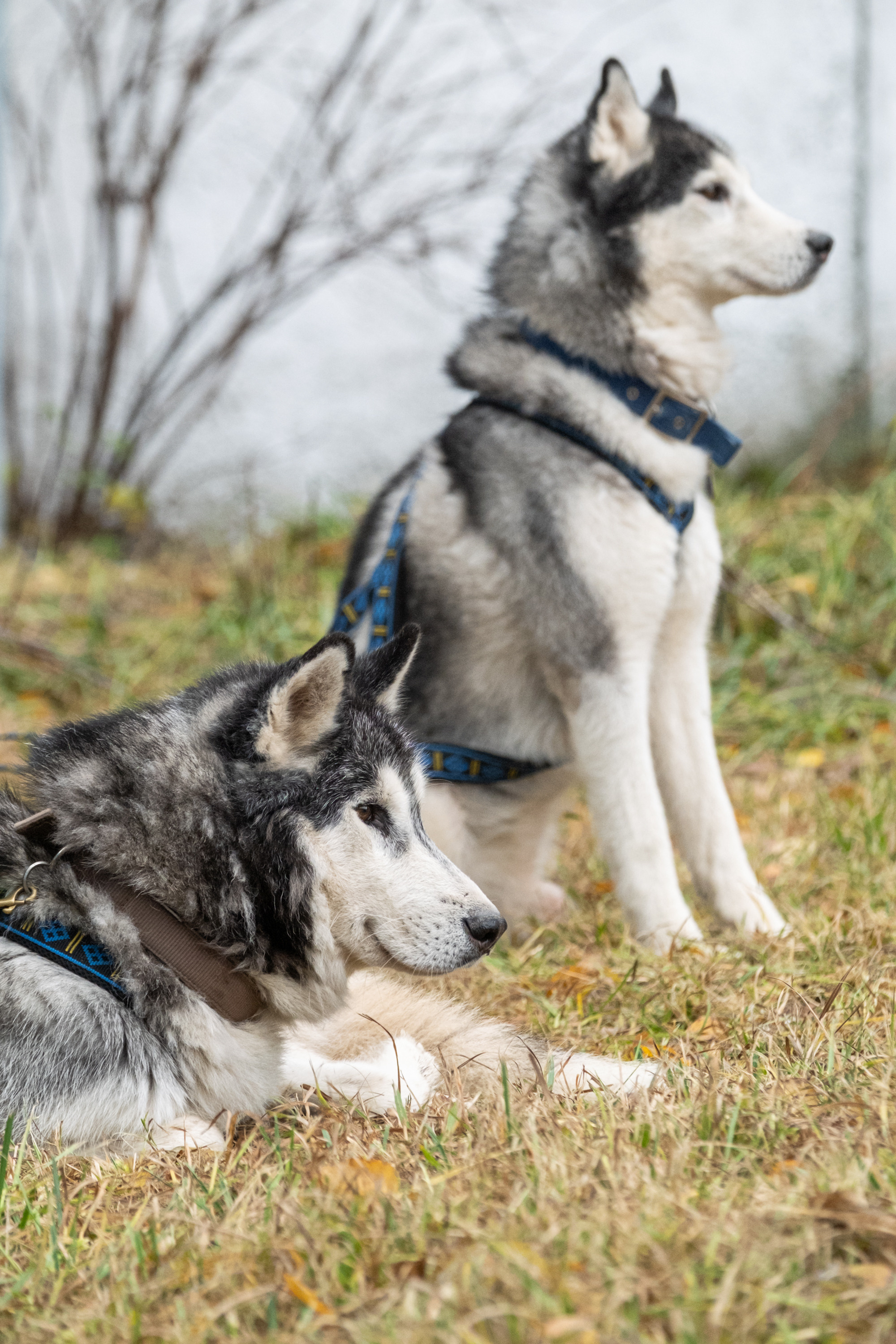 Алтын Буре. Репортажный фотограф в Казани Павел Серпокрылов