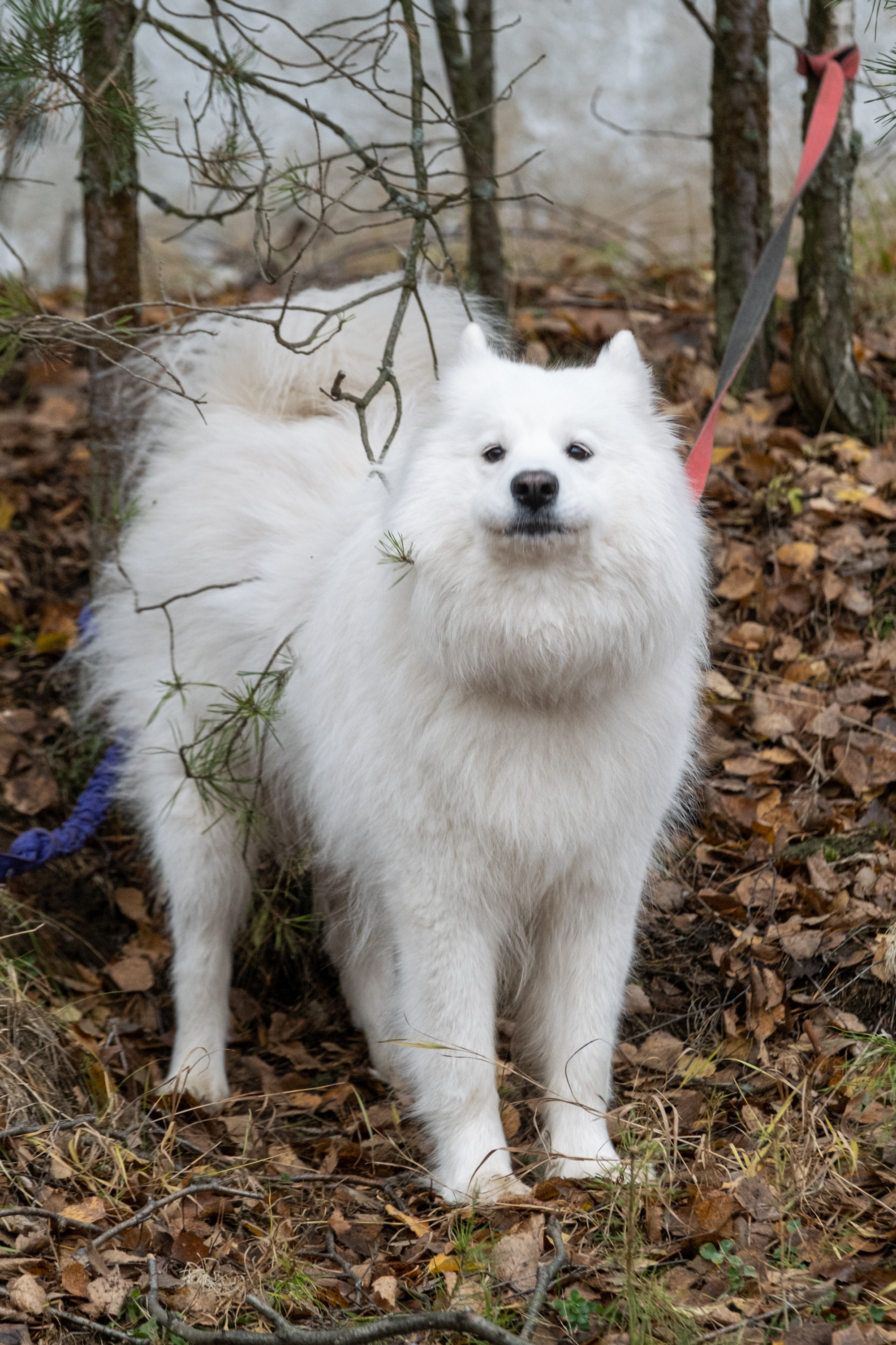 Алтын Буре. Репортажный фотограф в Казани Павел Серпокрылов