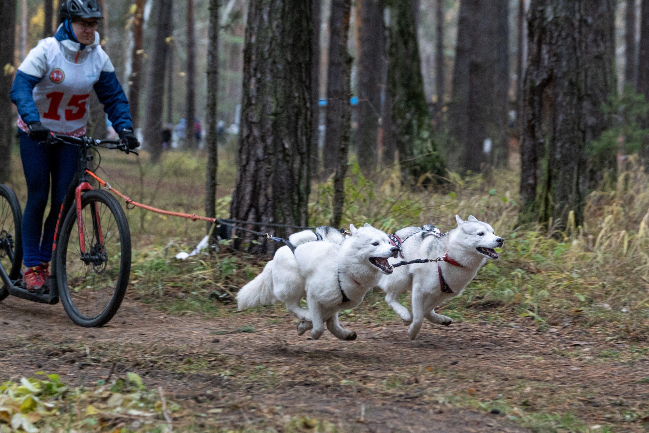 Алтын Буре. Репортажный фотограф в Казани Павел Серпокрылов