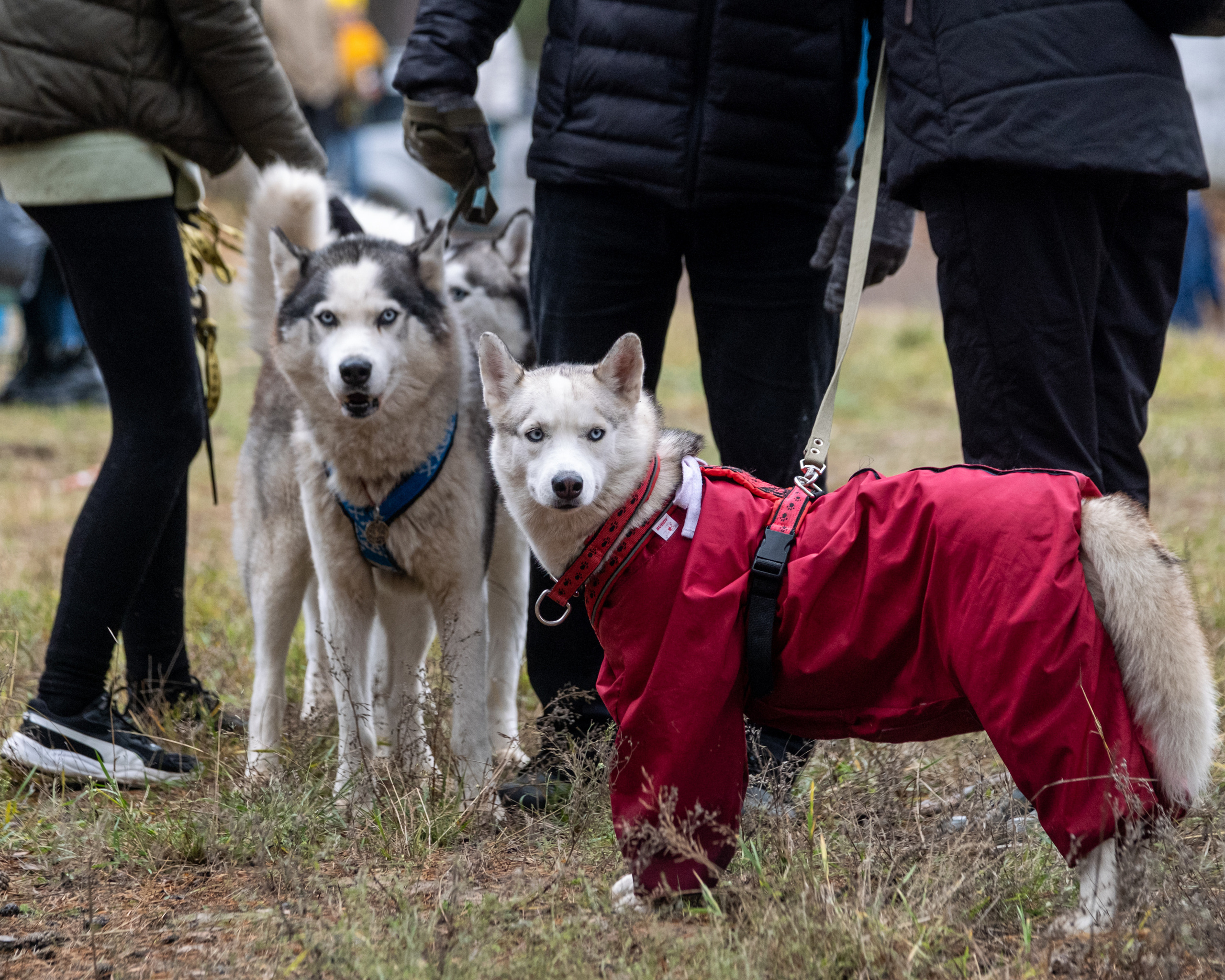 Алтын Буре. Репортажный фотограф в Казани Павел Серпокрылов