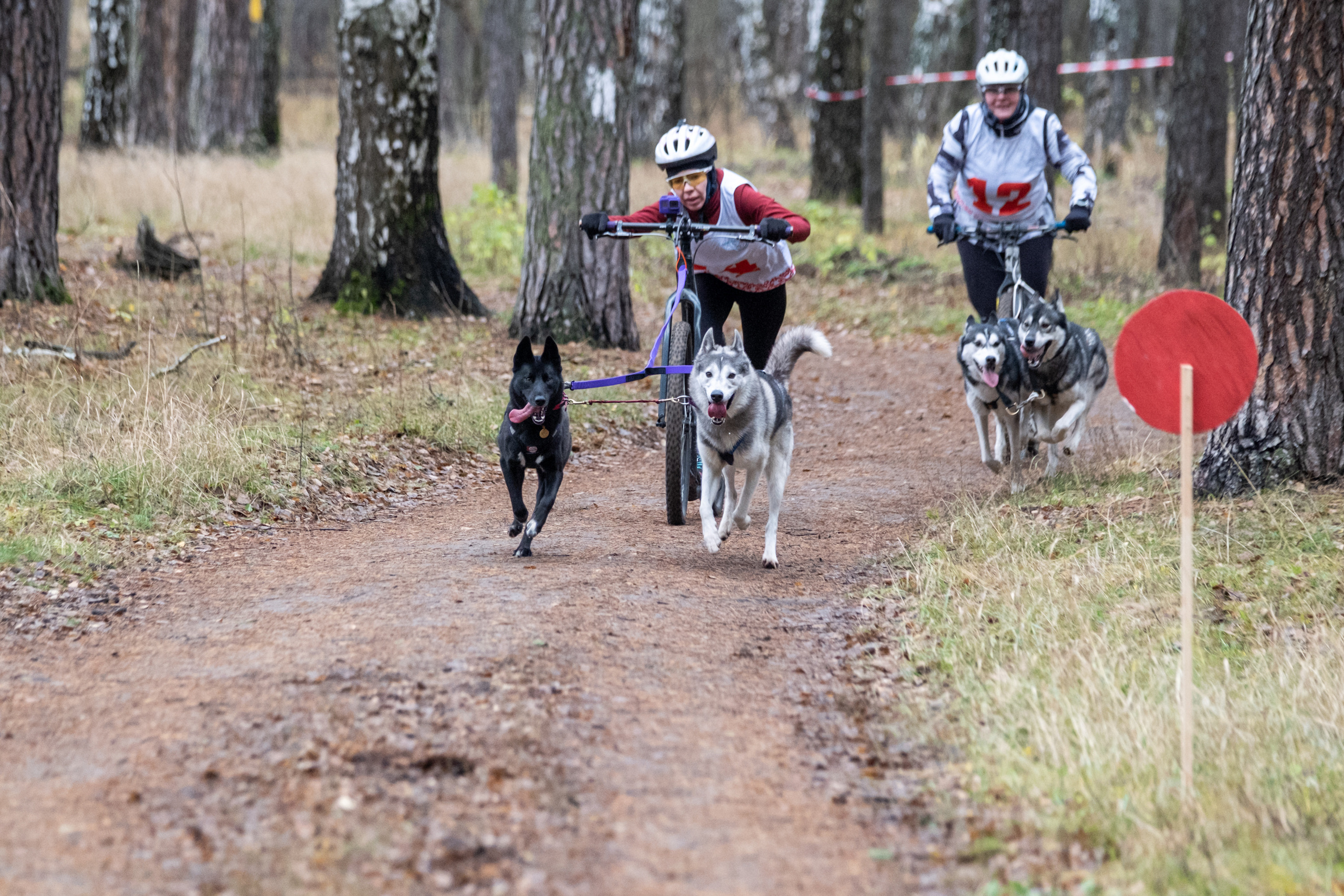 Алтын Буре. Репортажный фотограф в Казани Павел Серпокрылов