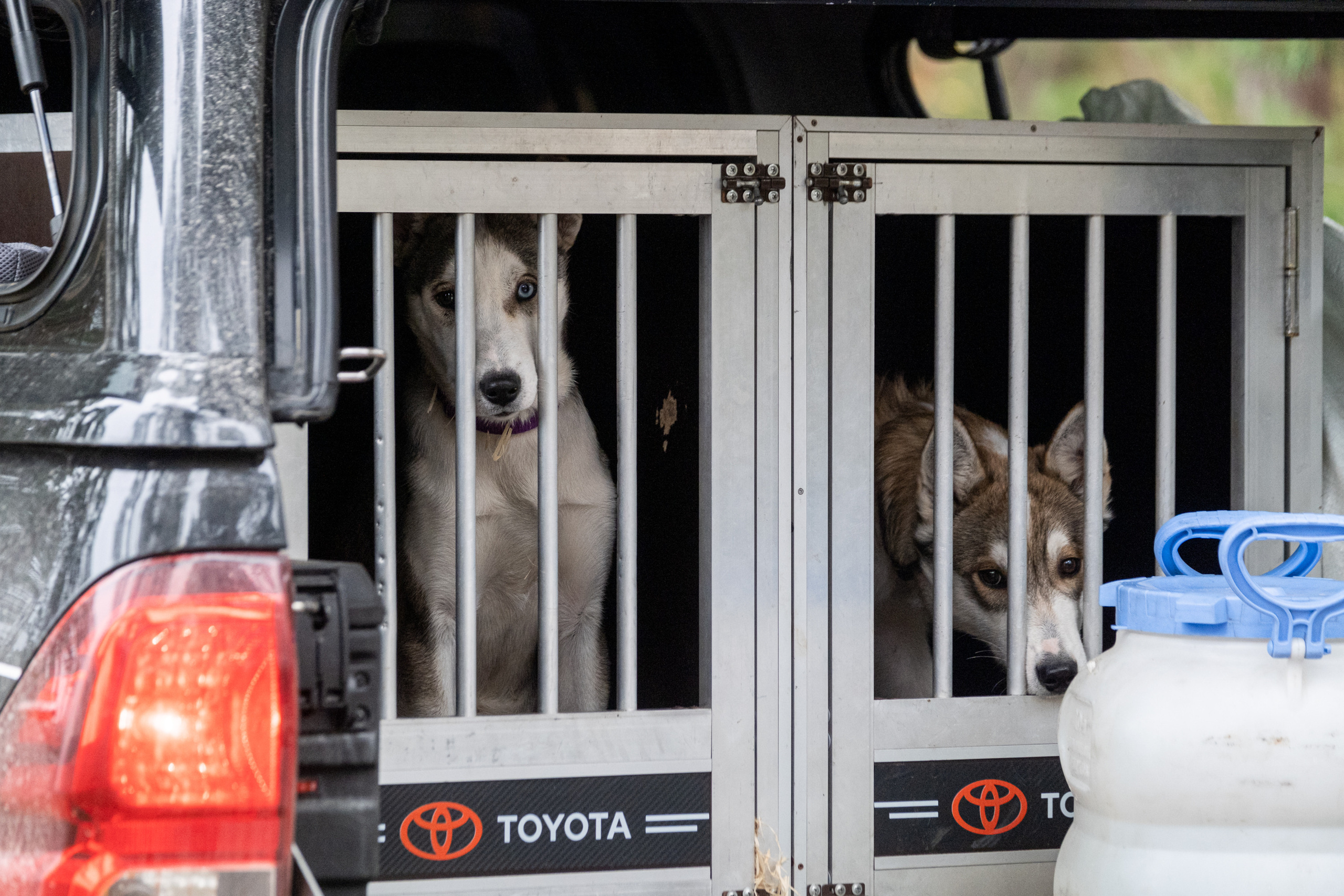 Алтын Буре. Репортажный фотограф в Казани Павел Серпокрылов