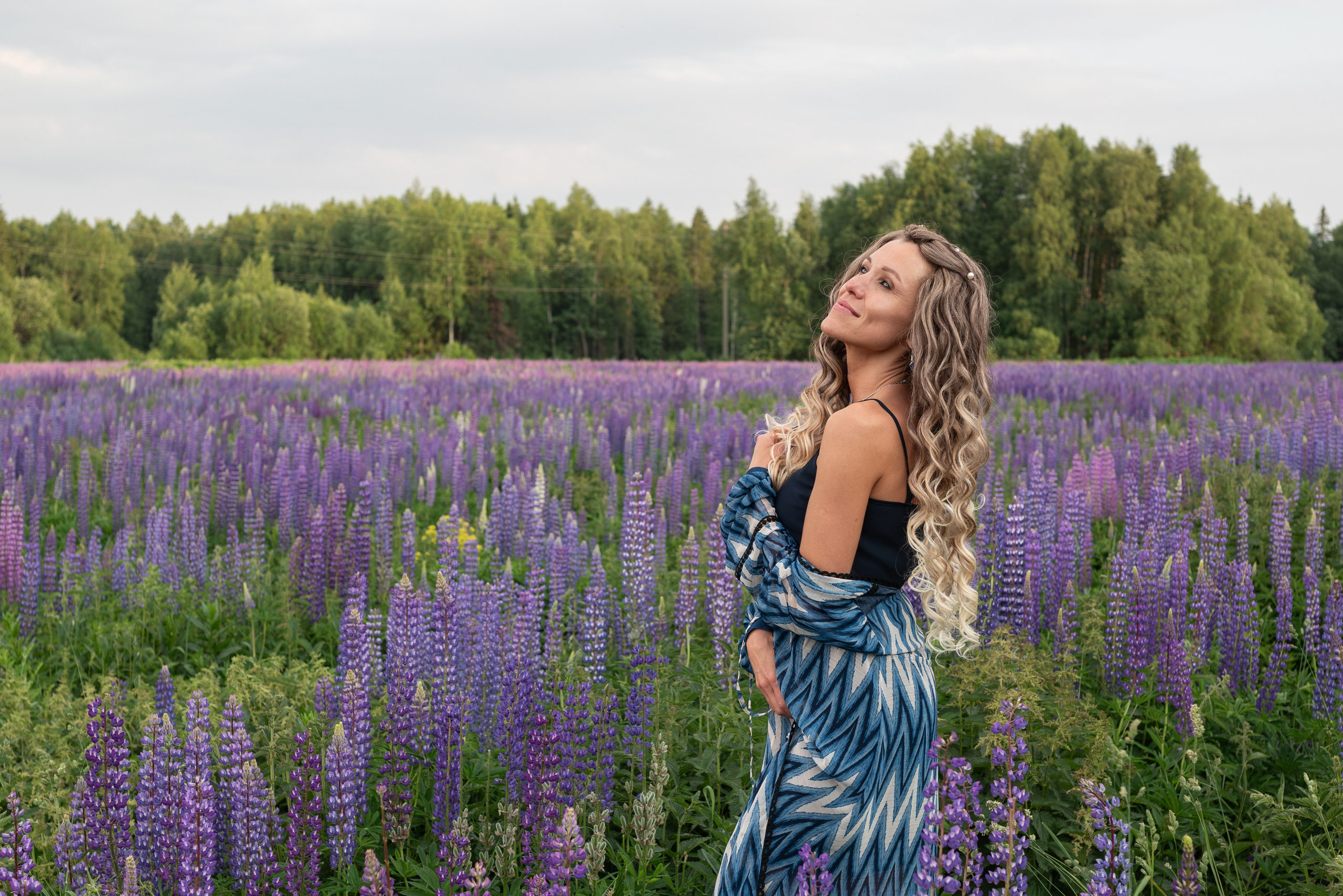 Люпины. Светлана Агалакова Фотограф