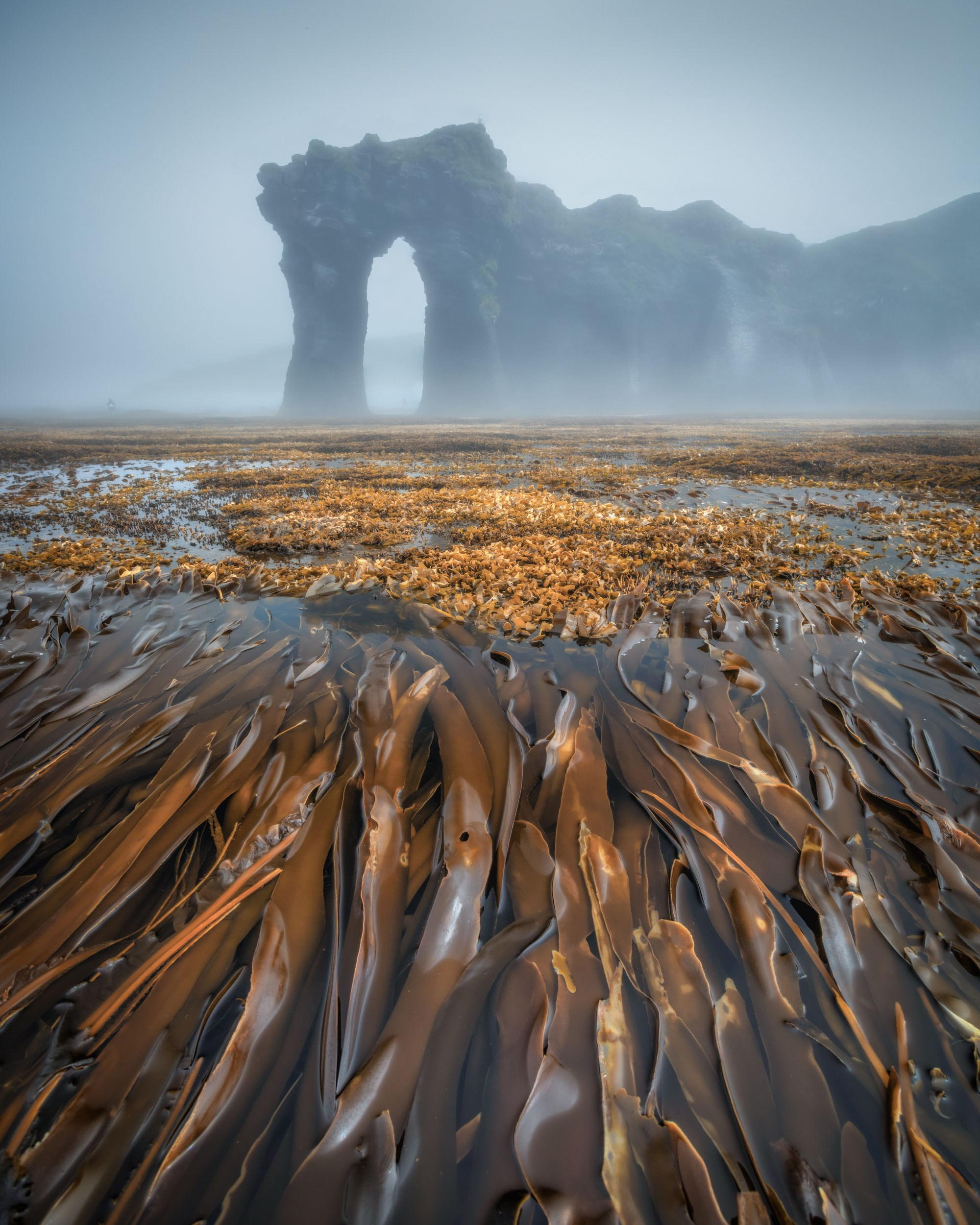 Фотографии Курилы