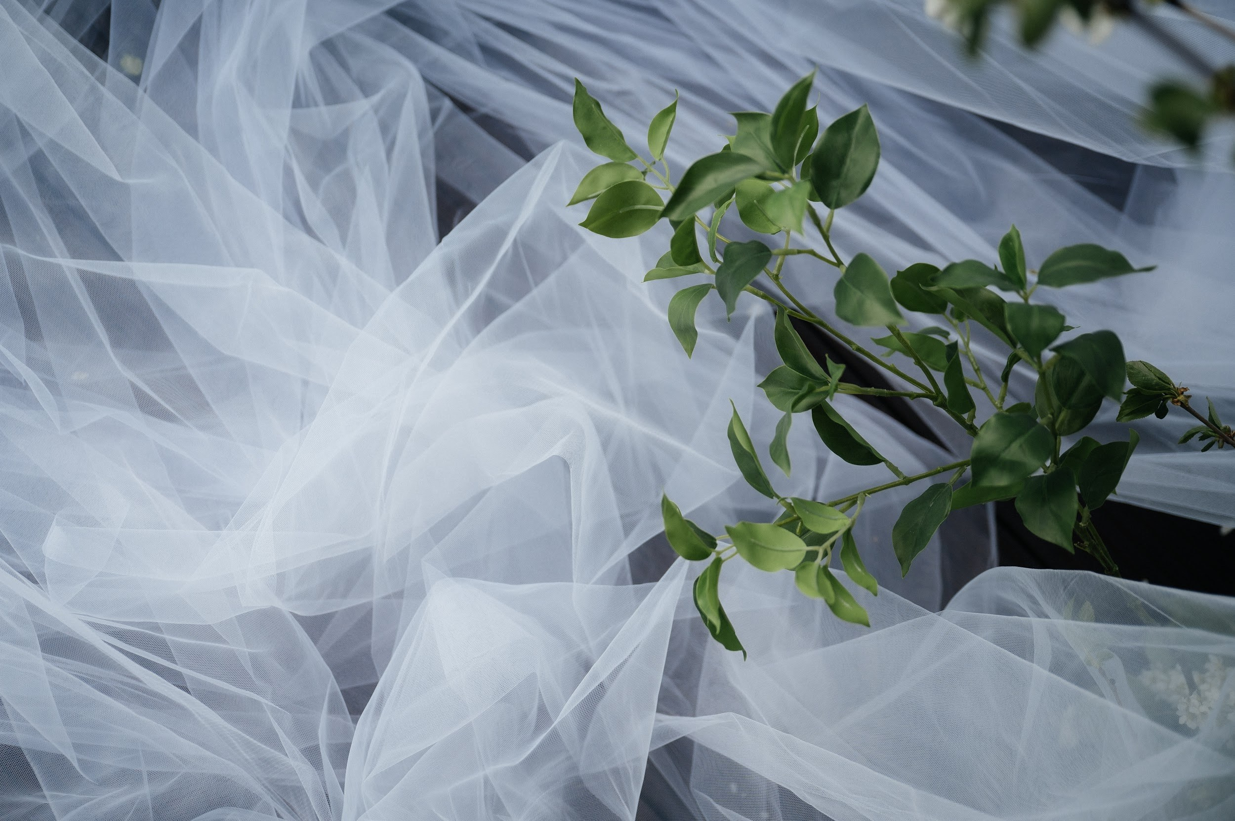 Иван и Алина. Организация и декор мероприятий Донецк (ДНР)