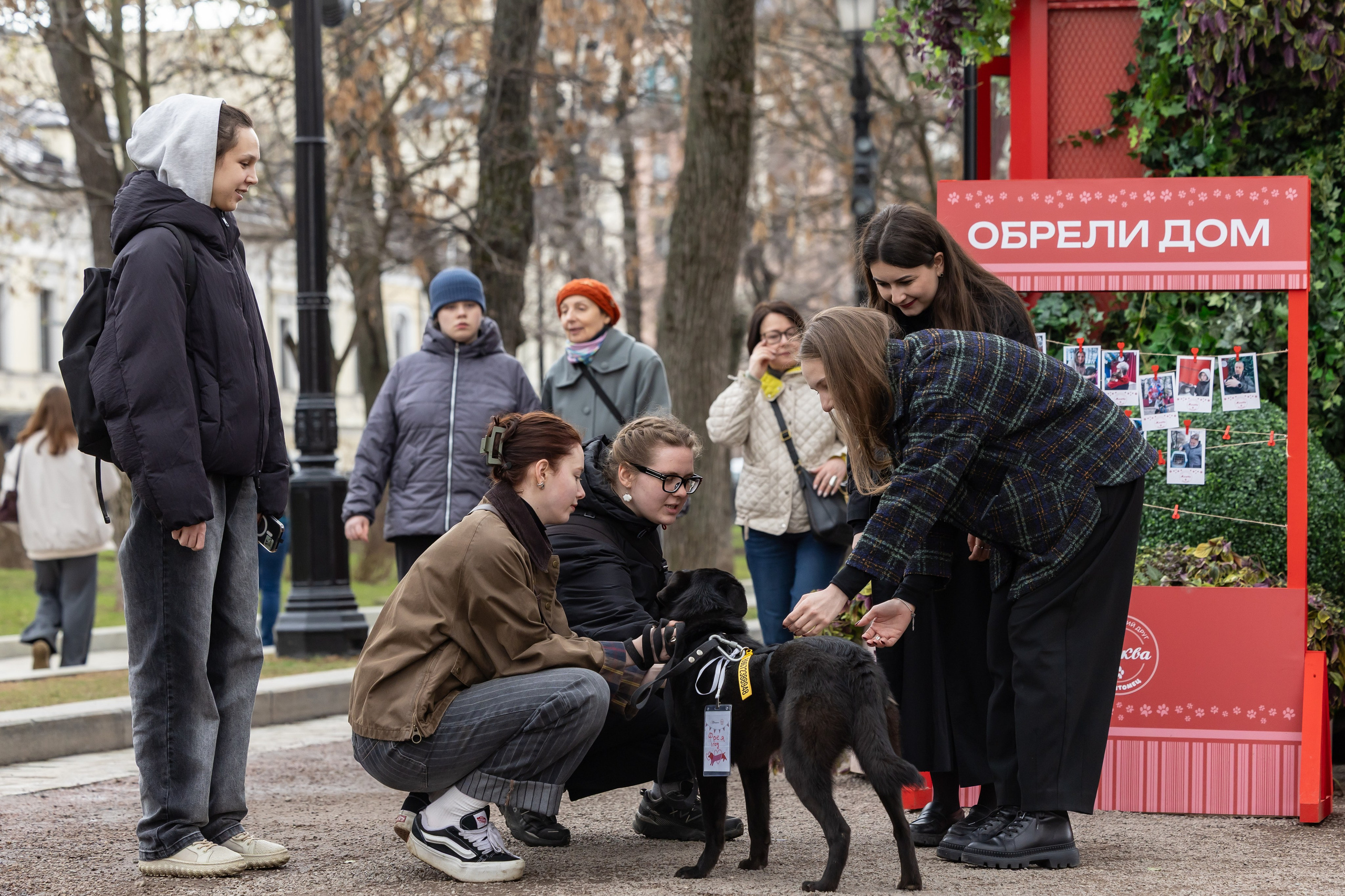 Проект «Моспитомец» на Тверском бульваре. Фотограф Владимир Охрименко