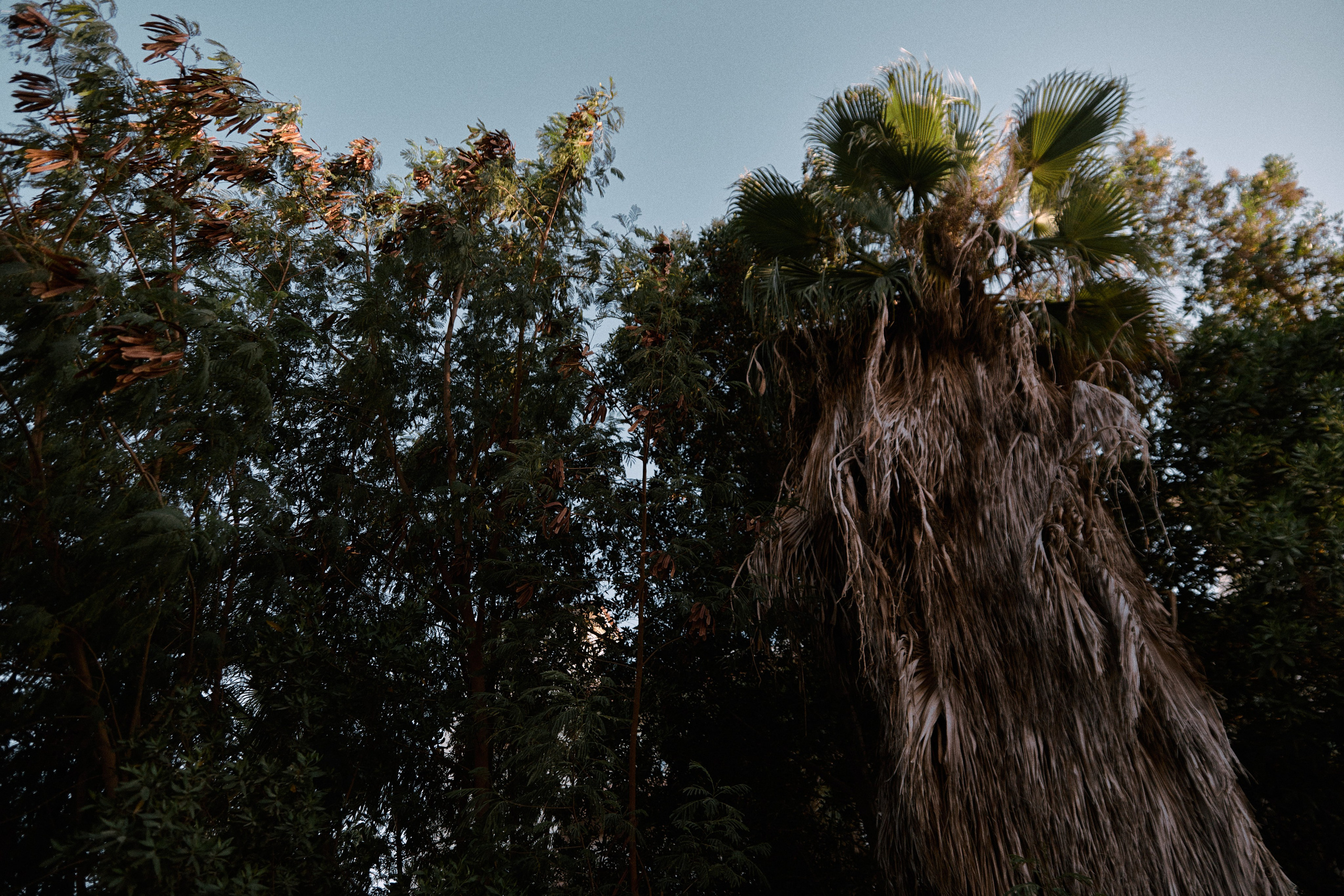 Улица горизонтальная. Jorgis — фотограф в Хургаде / обучение фотографии