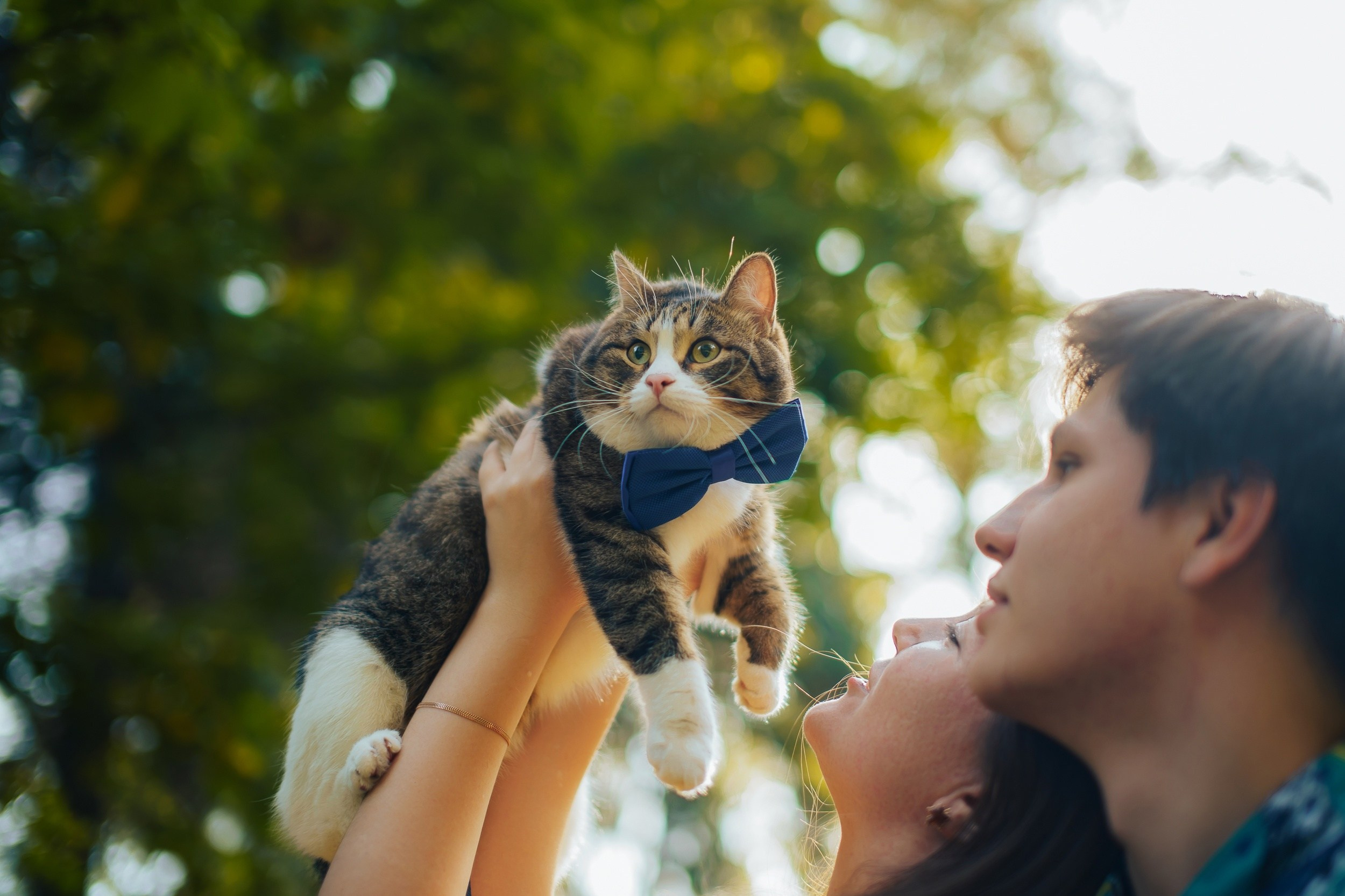 Лавстори Люда, Женя и КотКотофеич. Ваш свадебный и семейный фотограф