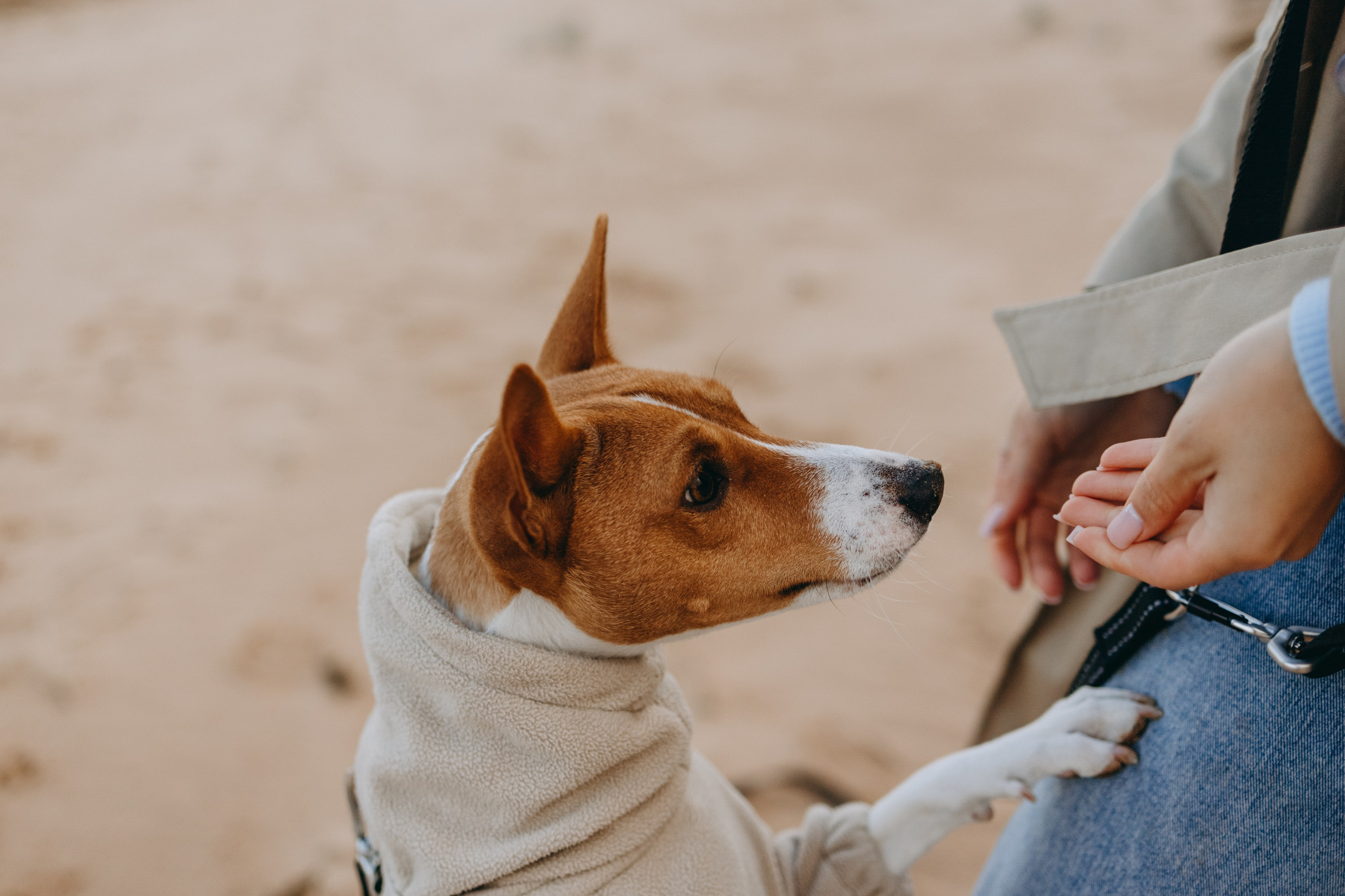 Алиса и Лео. Фотограф — Анималист | Санкт-Петербург
