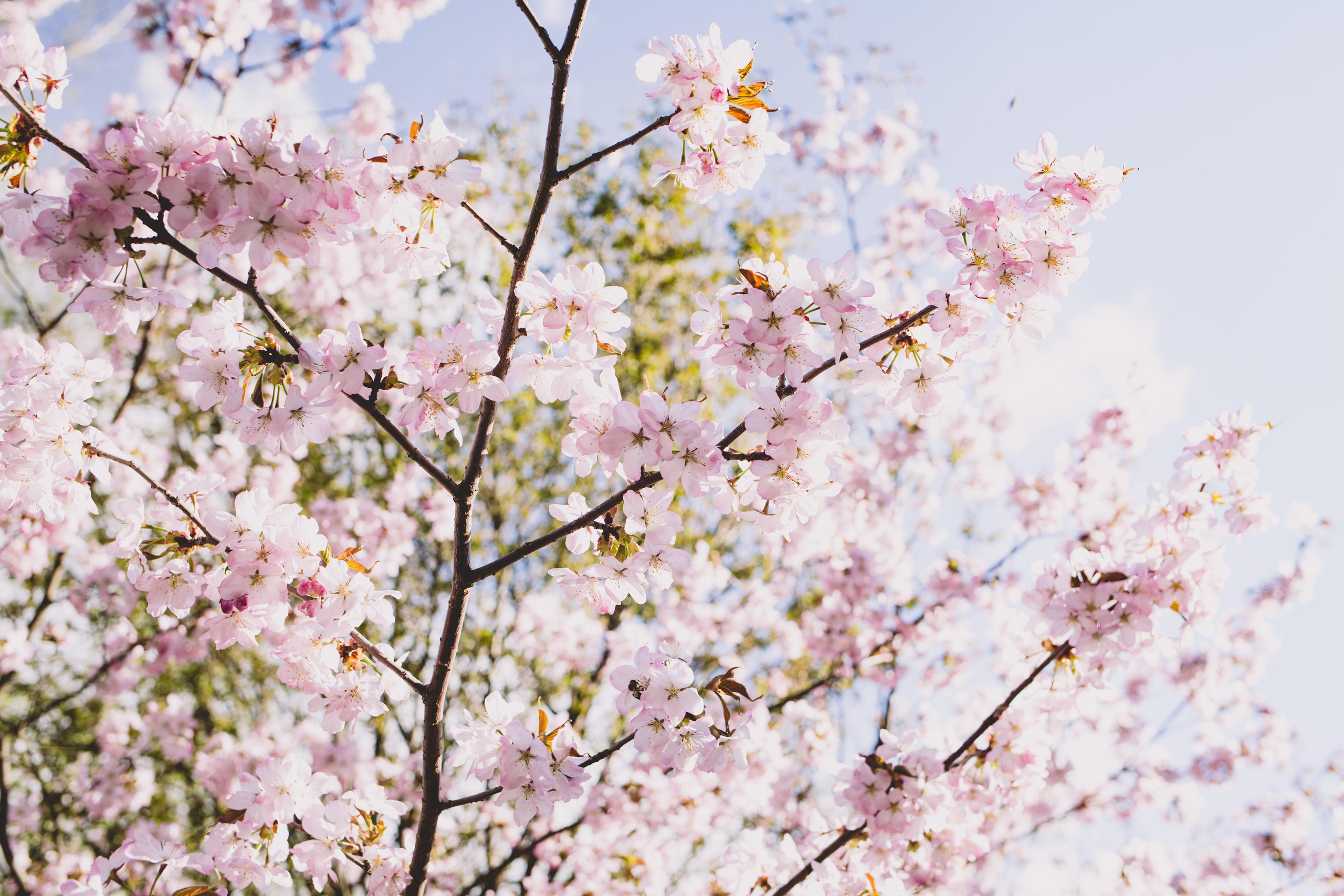 Коллекция пейзажных фотографий. Photographer Sonkina Tatiana (Tanya Ash)