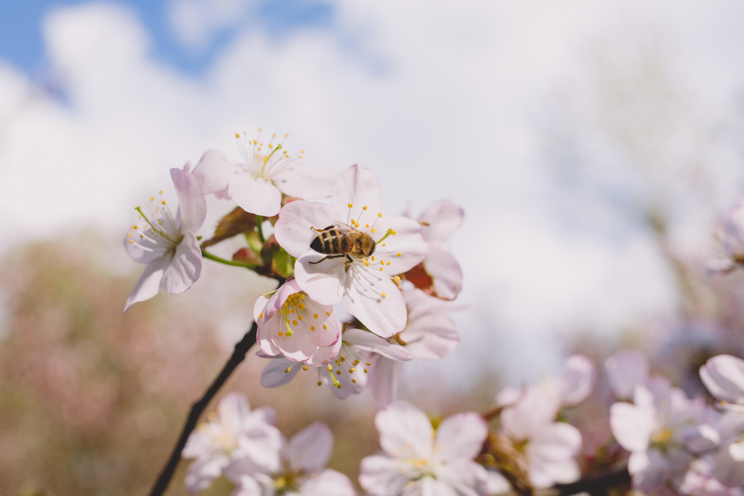Коллекция пейзажных фотографий. Photographer Sonkina Tatiana (Tanya Ash)