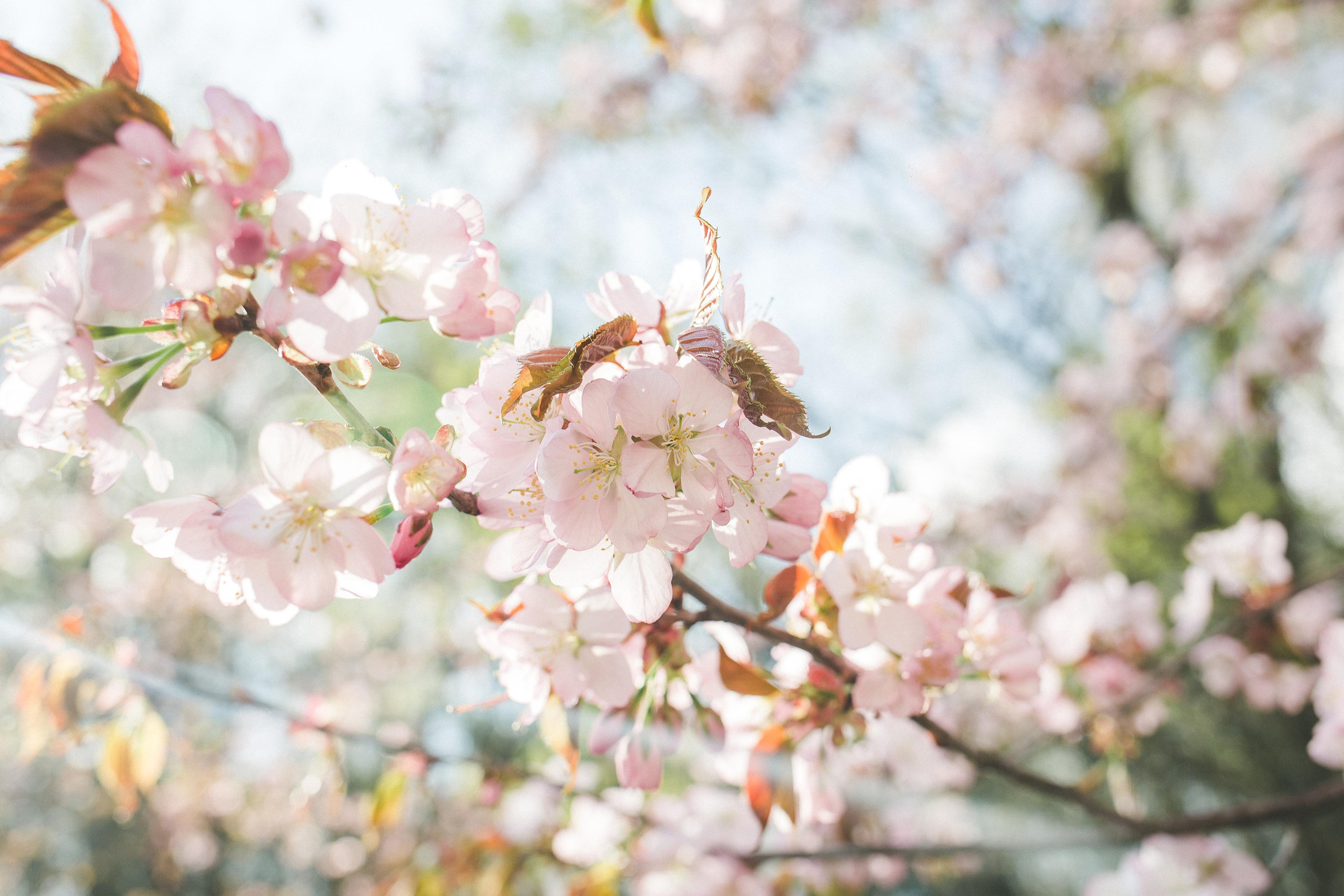Коллекция пейзажных фотографий. Photographer Sonkina Tatiana (Tanya Ash)