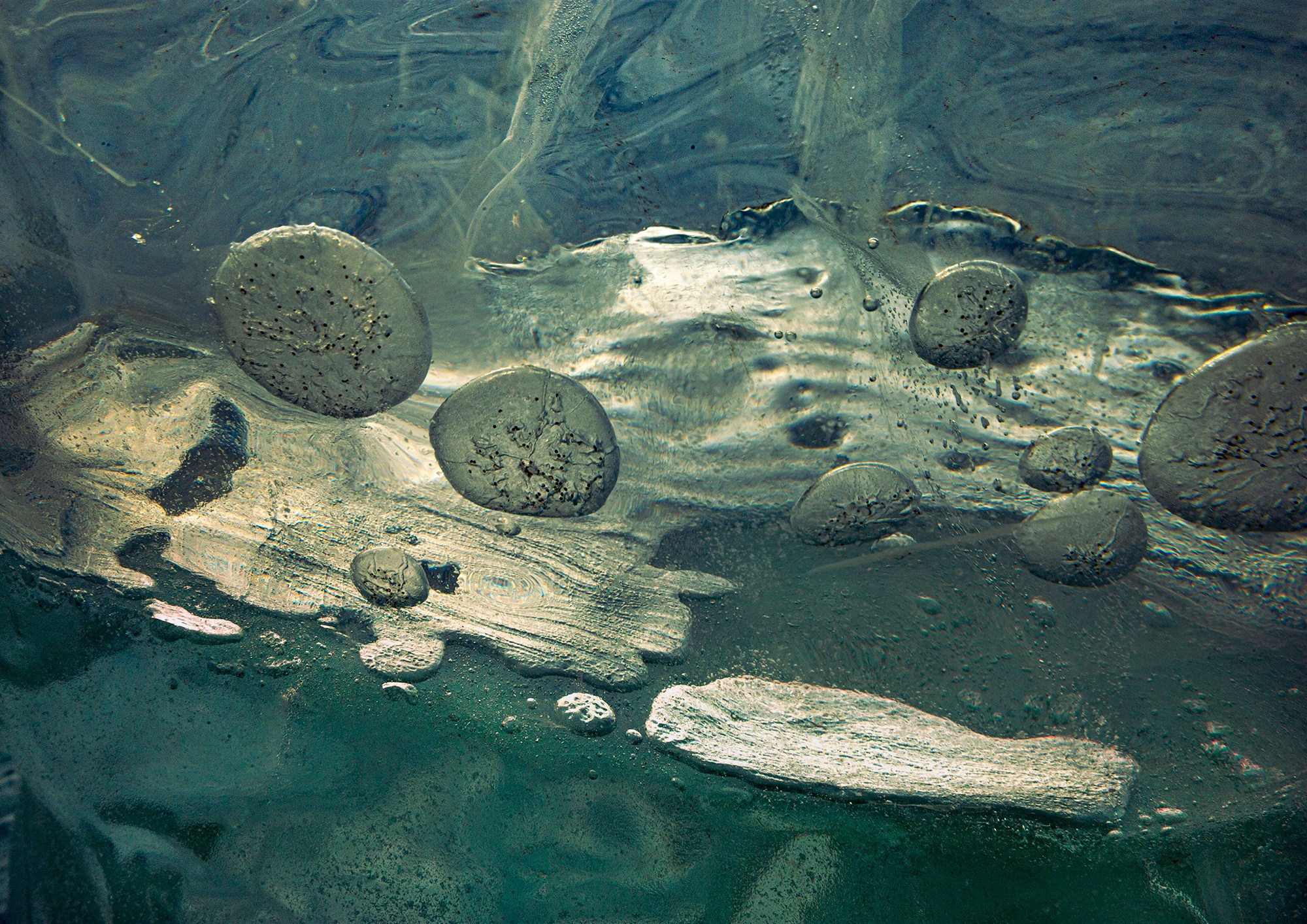 «Мы здесь». Фотограф Переверзева Наталья / Ханты-Мансийск