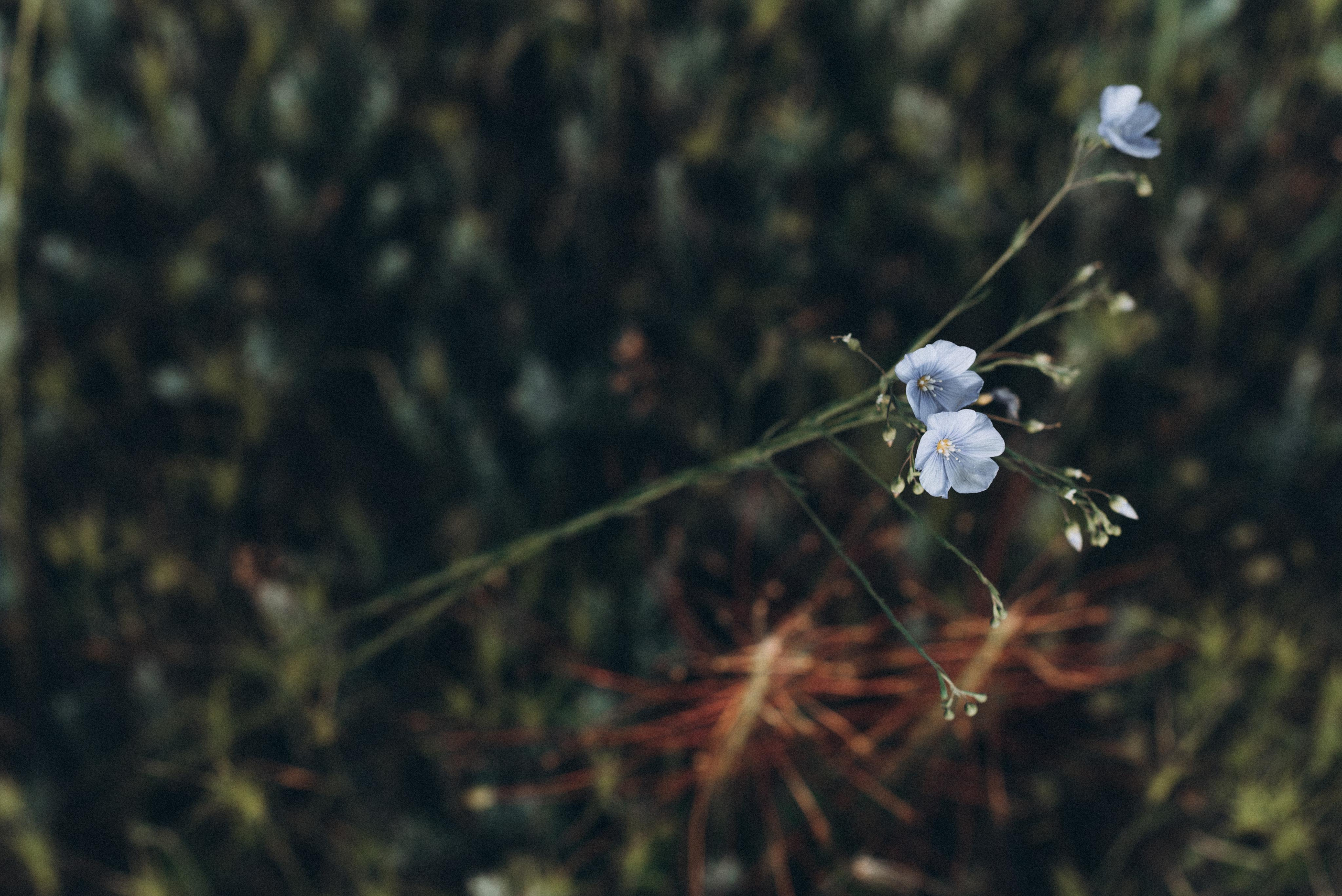 Wedding Tanya&Evgeniy ph Mikhail Gorbach. Свадебный и семейный фотограф город Темрюк Фотостудия Темрюк