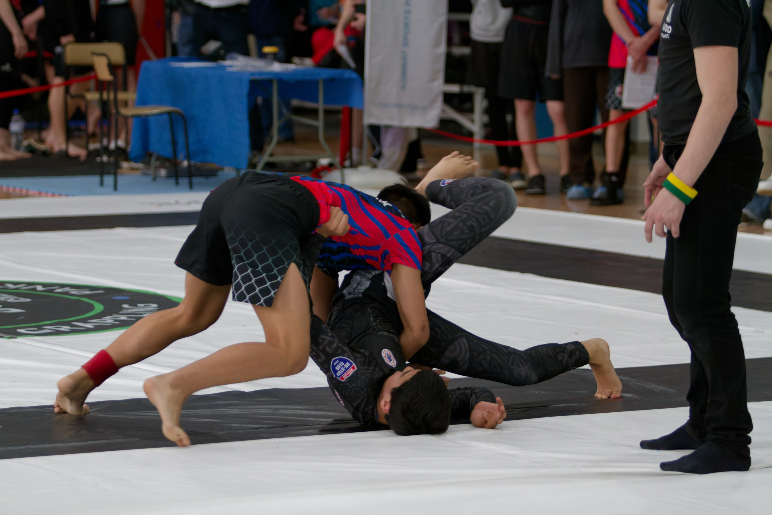 Борьба. Джиу-джитсу 26.04.2025. Репортажный и спортивный фотограф в г. Пермь Зильберг Павел