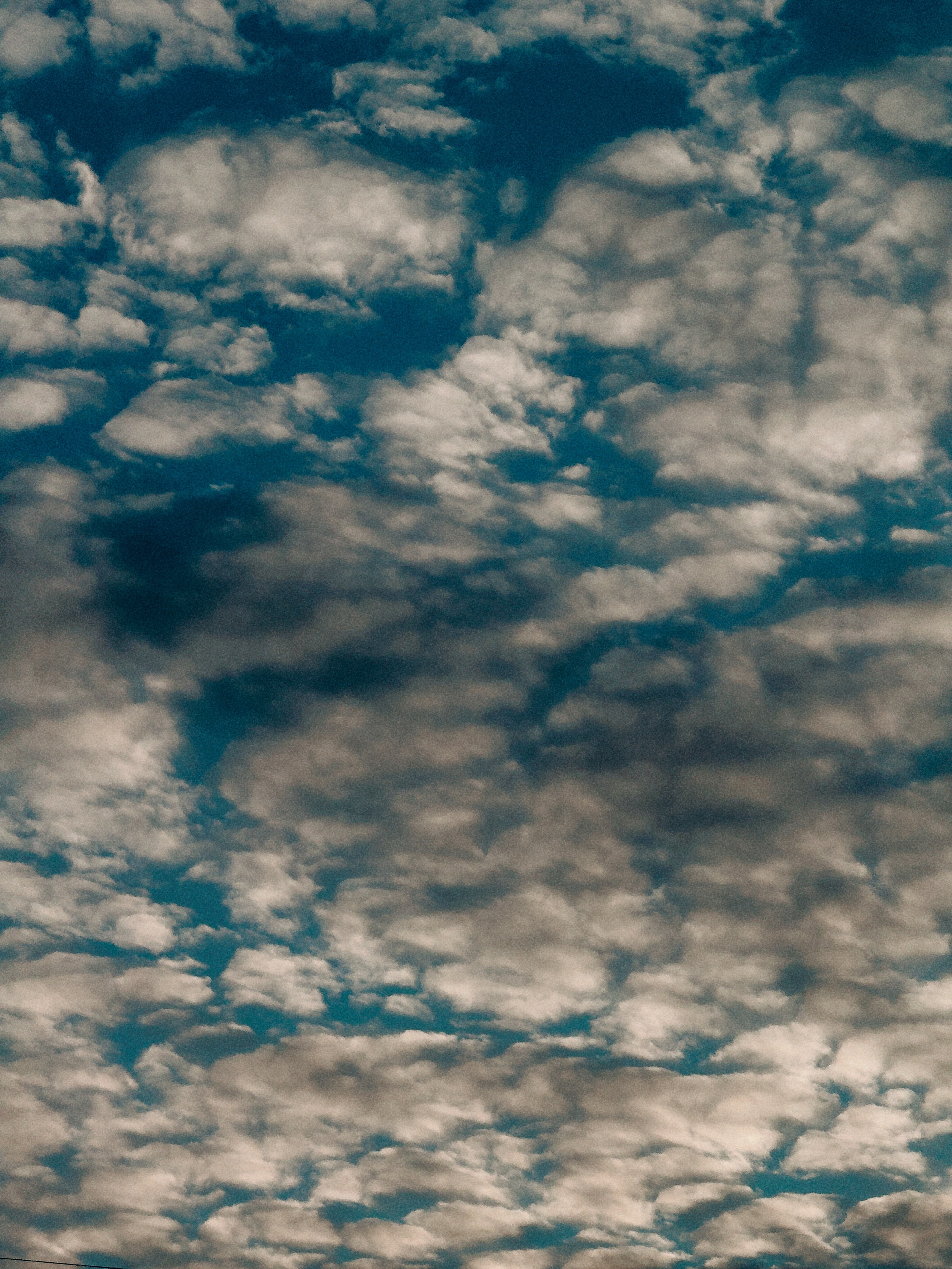 Телефон. Film and another stuff