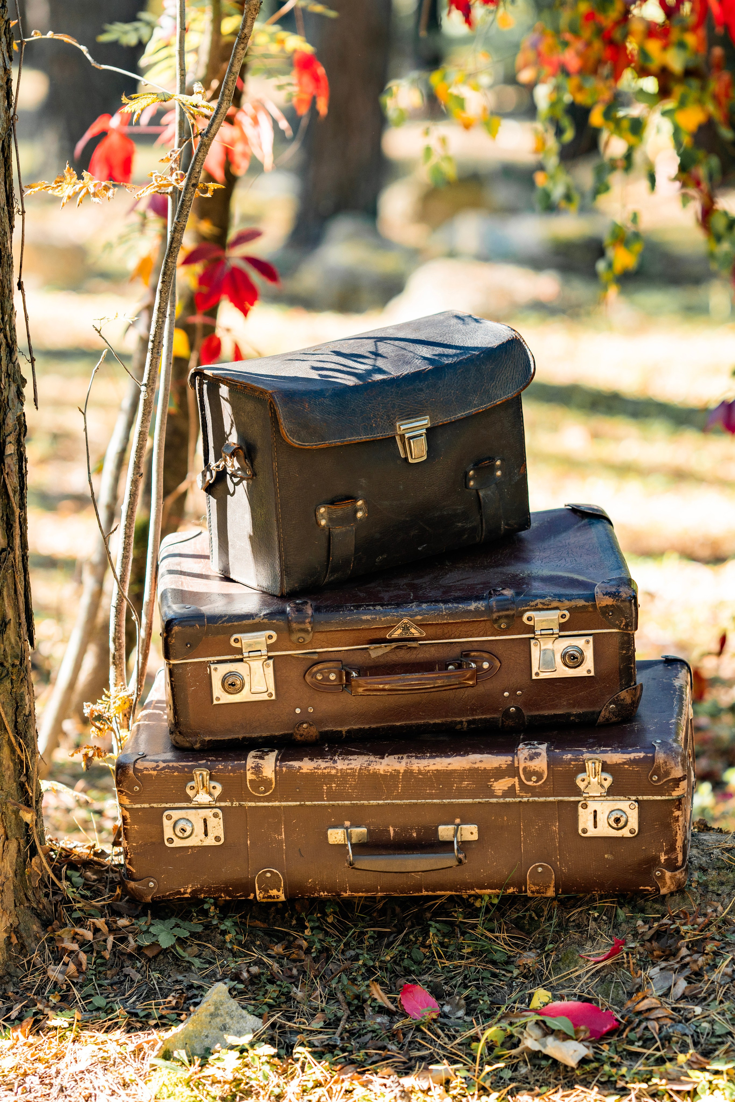 Осень 2. Фотограф Юлия Попова