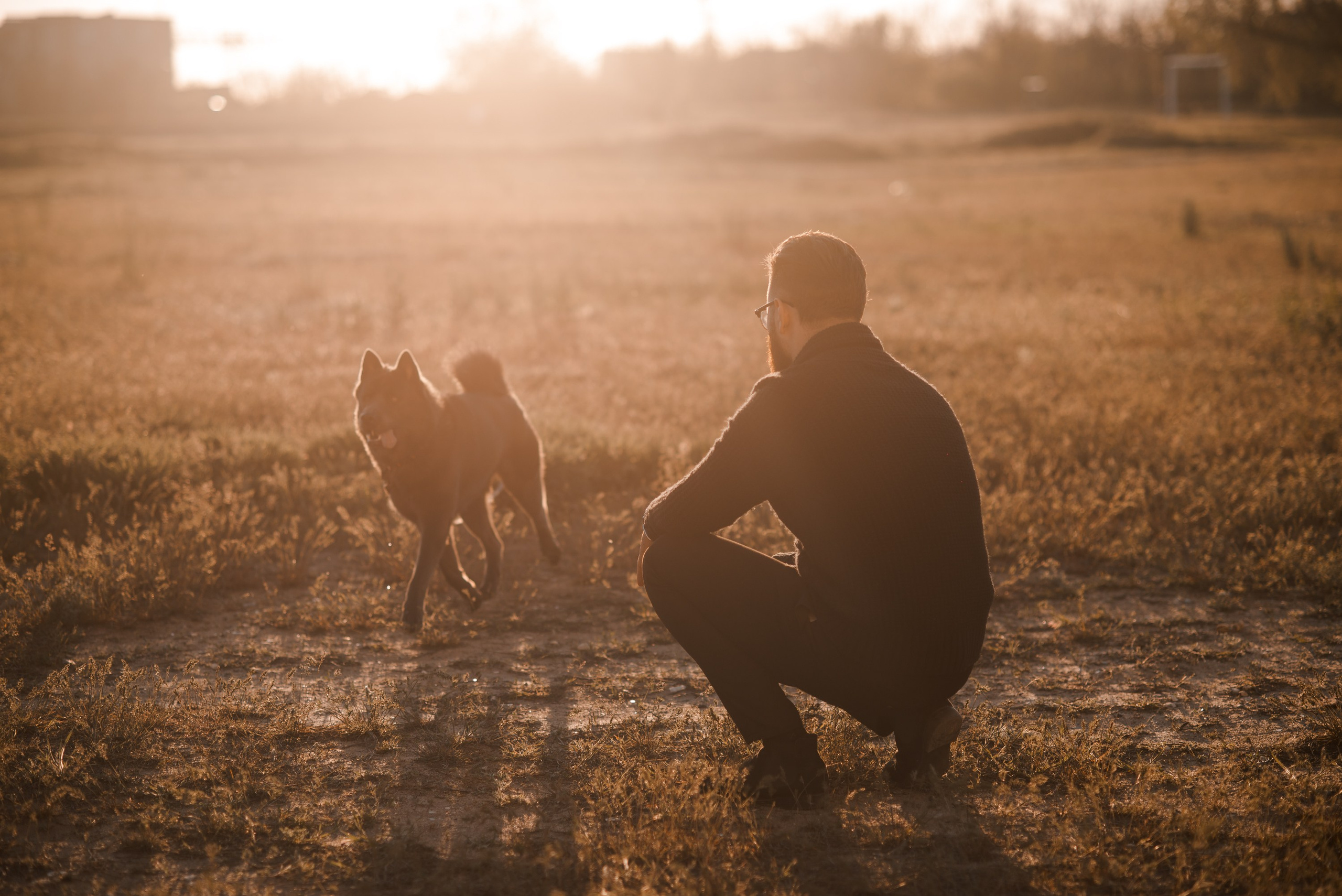 Ярослав. Главная