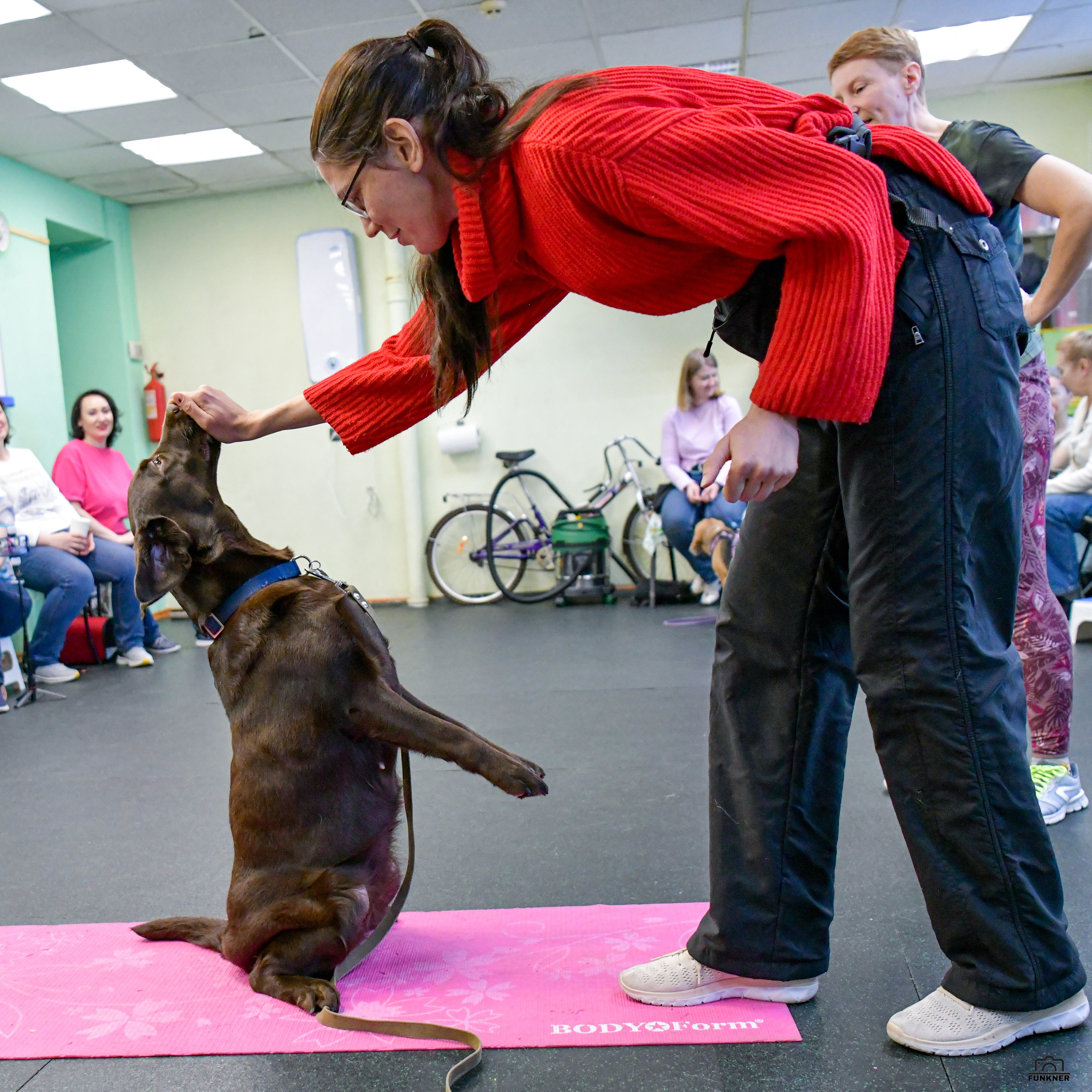 Кинологический клуб «Бодрый хвост». Свой взгляд через объектив