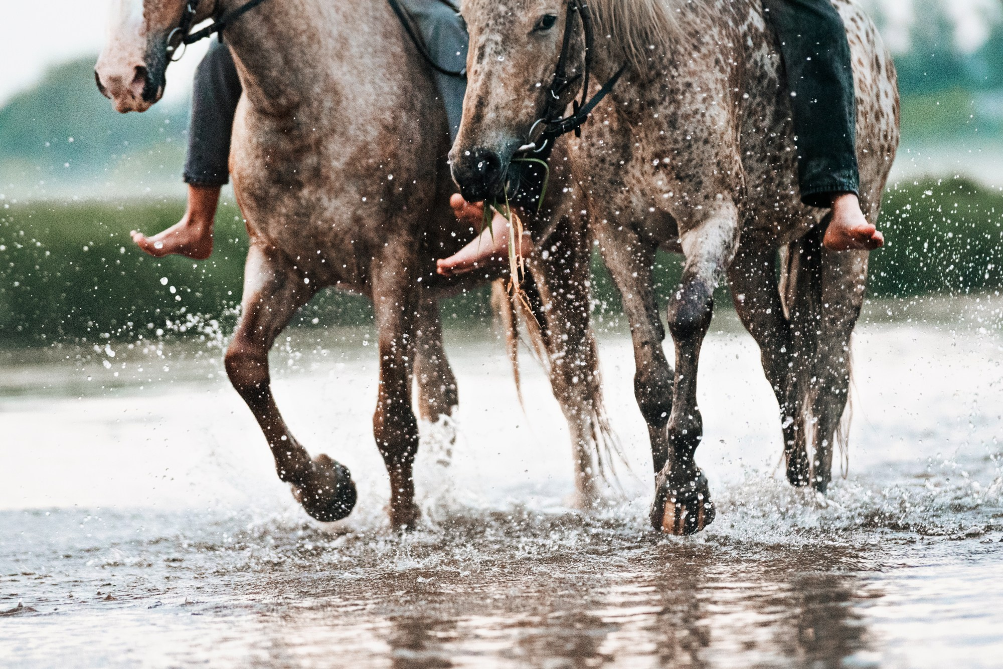 МК Анастасии Ветковской на ранчо Аванпост. Конный фотограф Куракина Дарья • Фотосессии с лошадьми