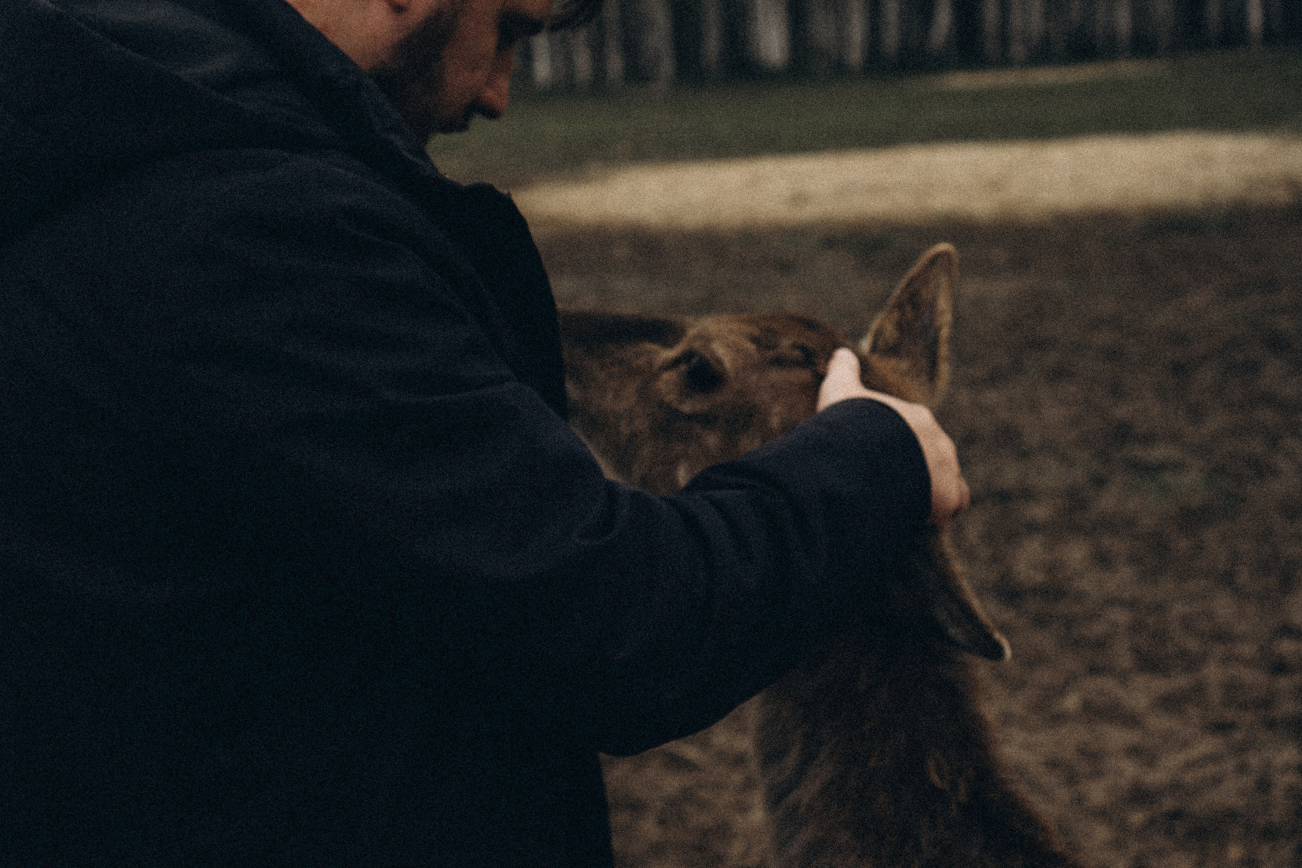 ОЛЕНЬЯ ФЕРМА В ТВЕРИ. Профессиональный фотограф, Санкт-Петербург — Виктория Богомолова