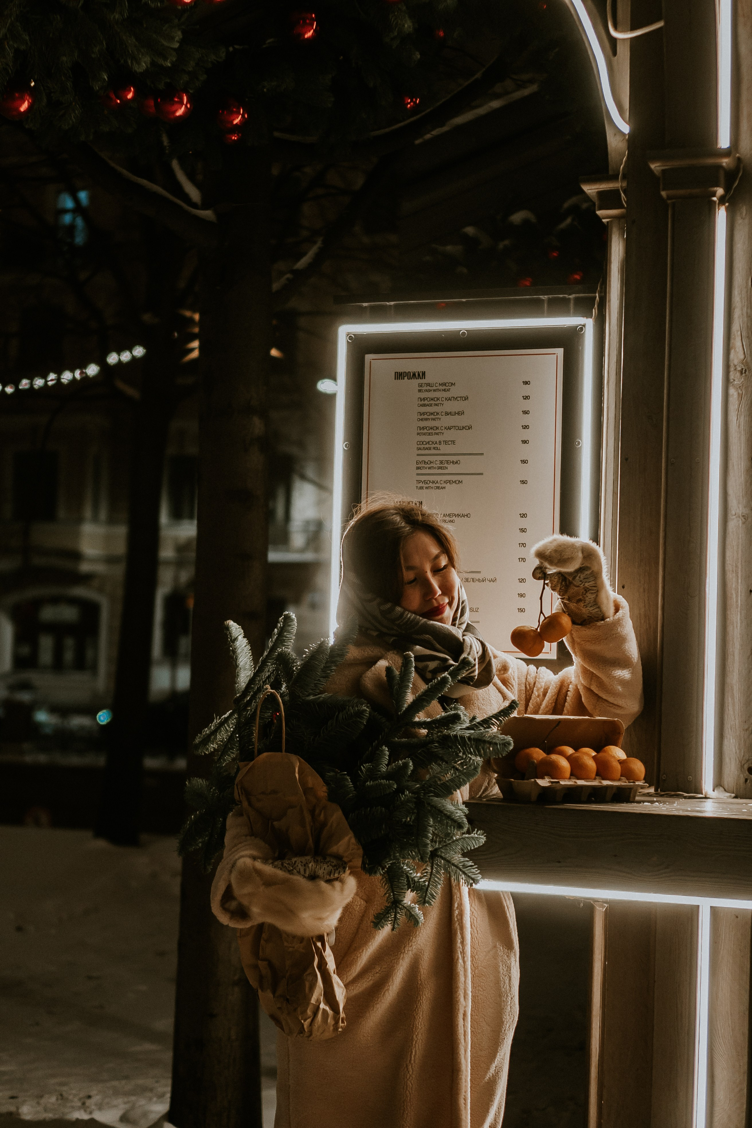 Зимняя сказка в Новой Голандии. Профессиональный фотограф, Санкт-Петербург — Виктория Богомолова