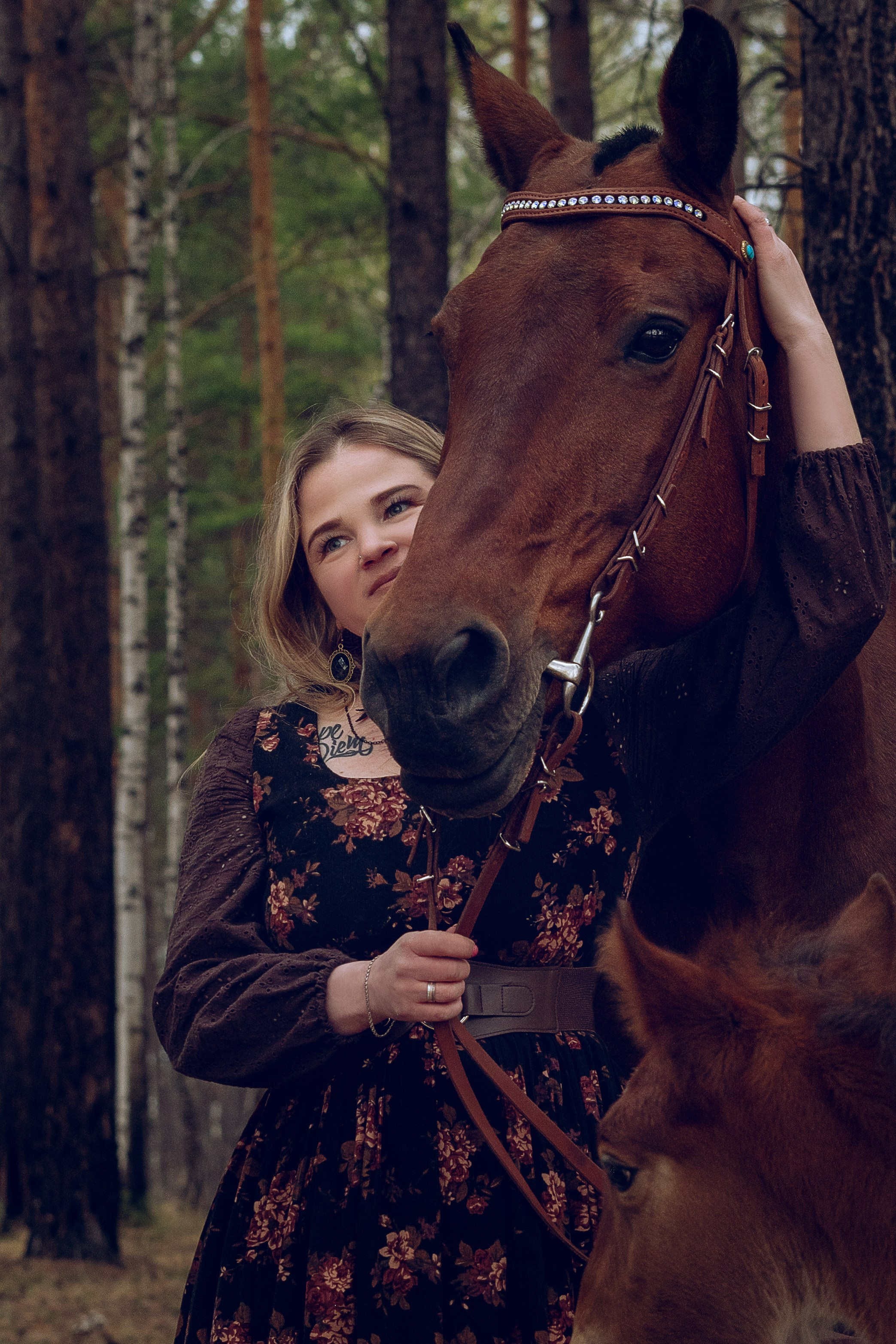 Съемка с лошадью Иркутск Иркутская область. Сайт фотографа Елены Коноваловой Иркутск
