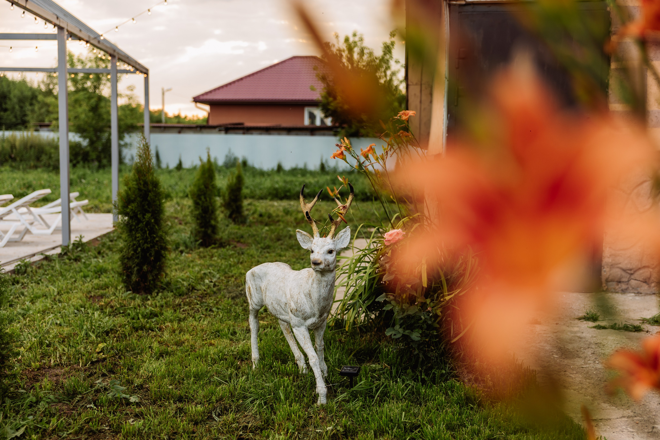 Гостевой Дом «Ривьера» | г. Коломна. ФОТОГРАФ ИРИНА ШАМАТАВА