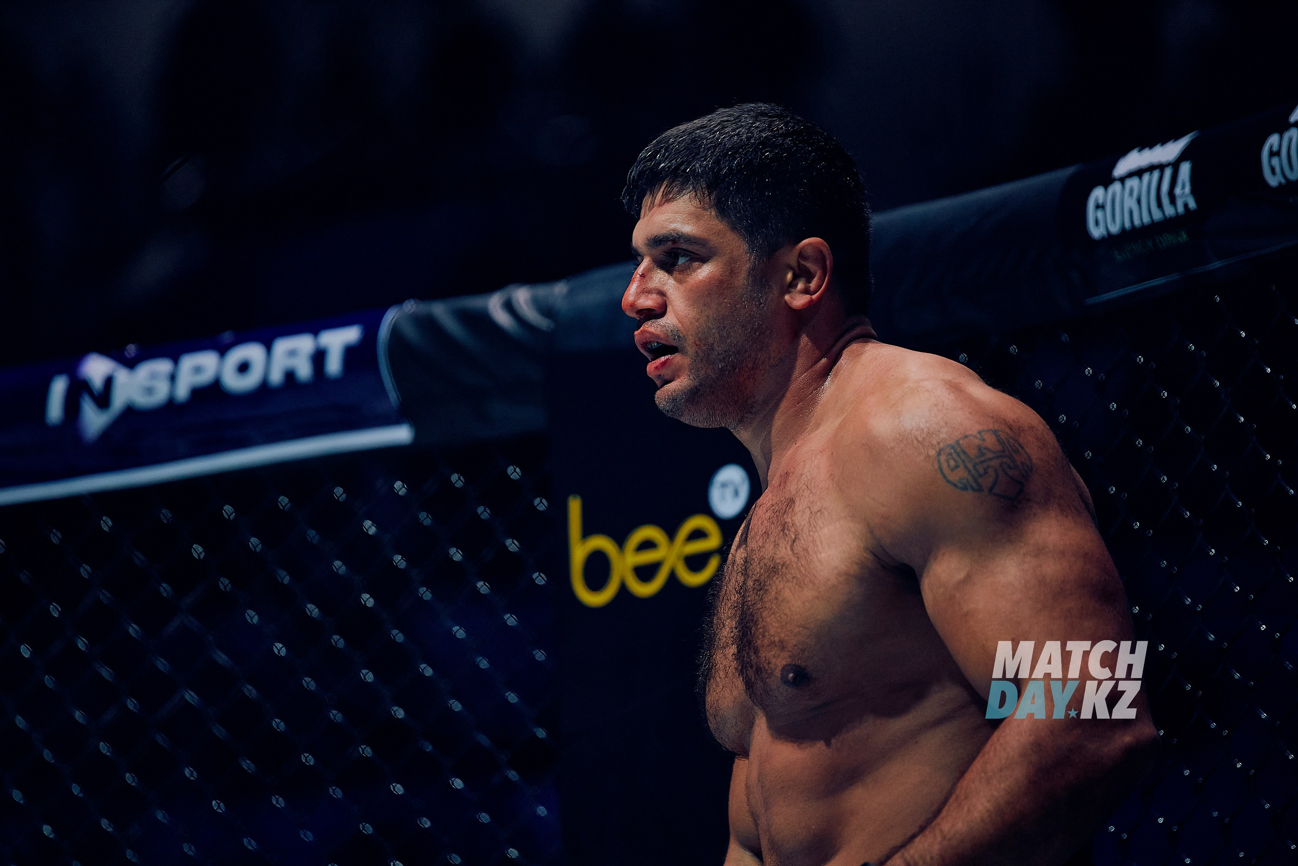 Naiza MMA (Astana) 6 December 2023. Professional photo & Event agency (Kazakhstan, Astana)