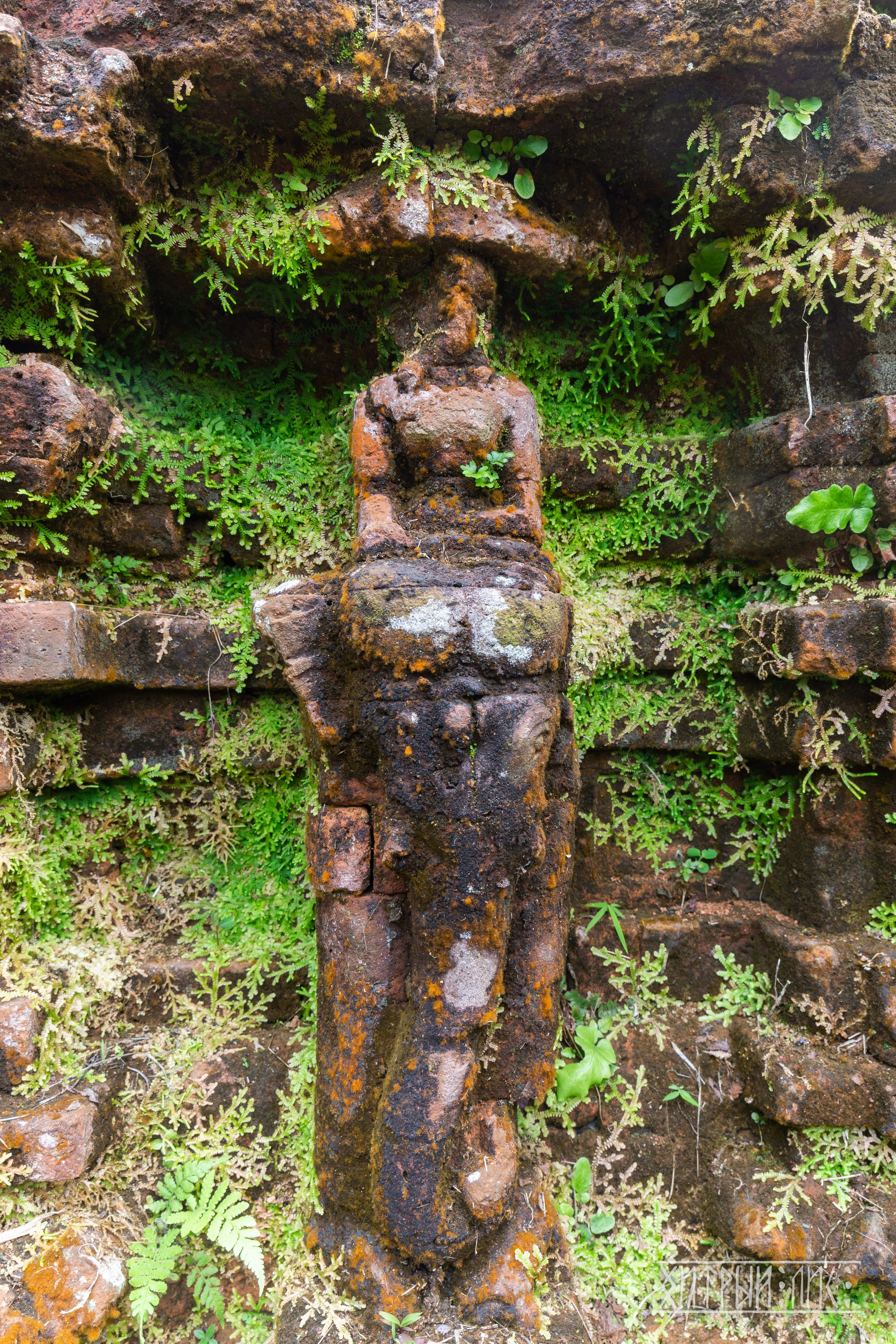 Вьетнам. Фотограф-путешественник Самойлов Максим «Sly Fox»