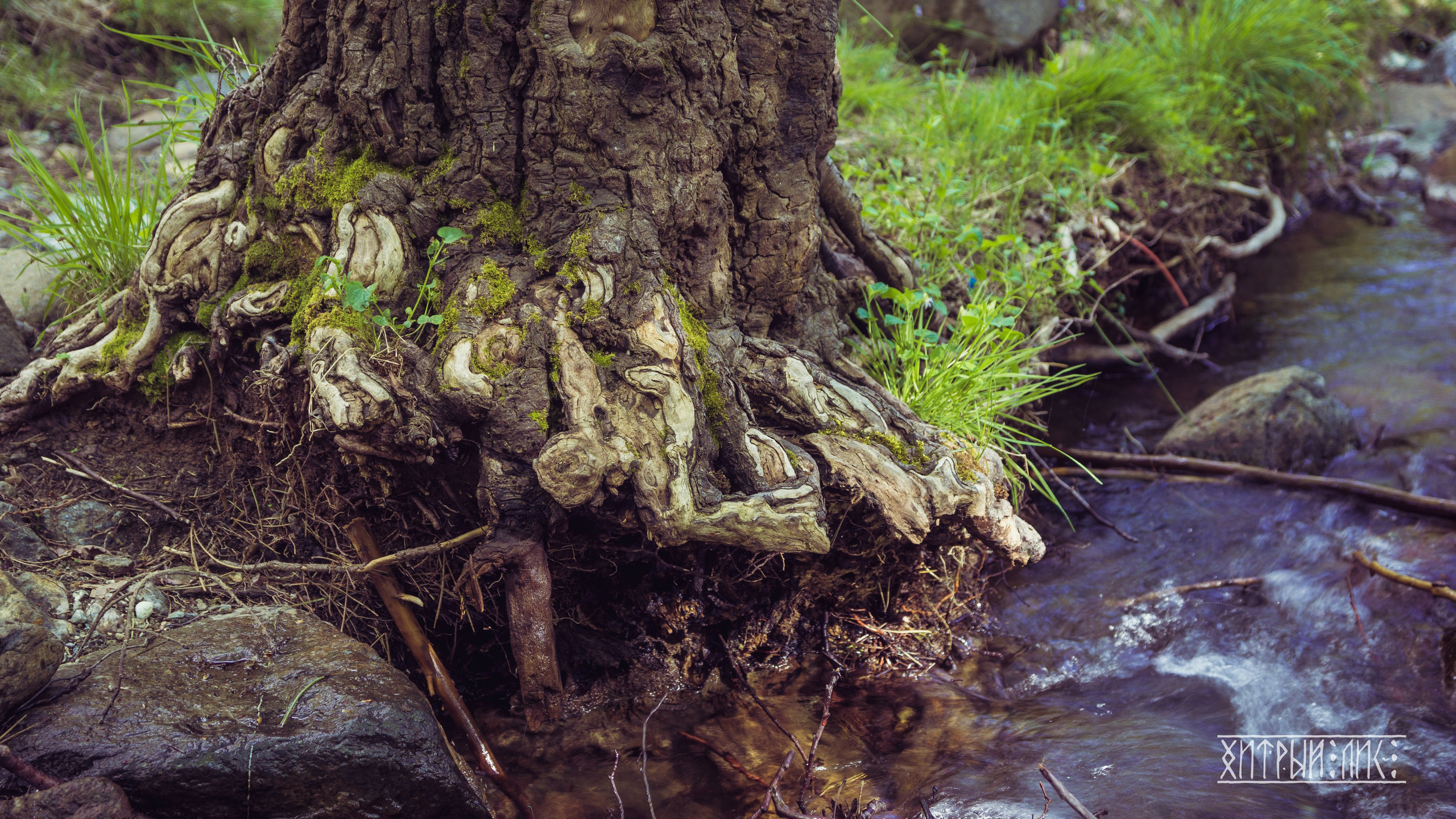 Кипр. Фотограф-путешественник Самойлов Максим «Sly Fox»
