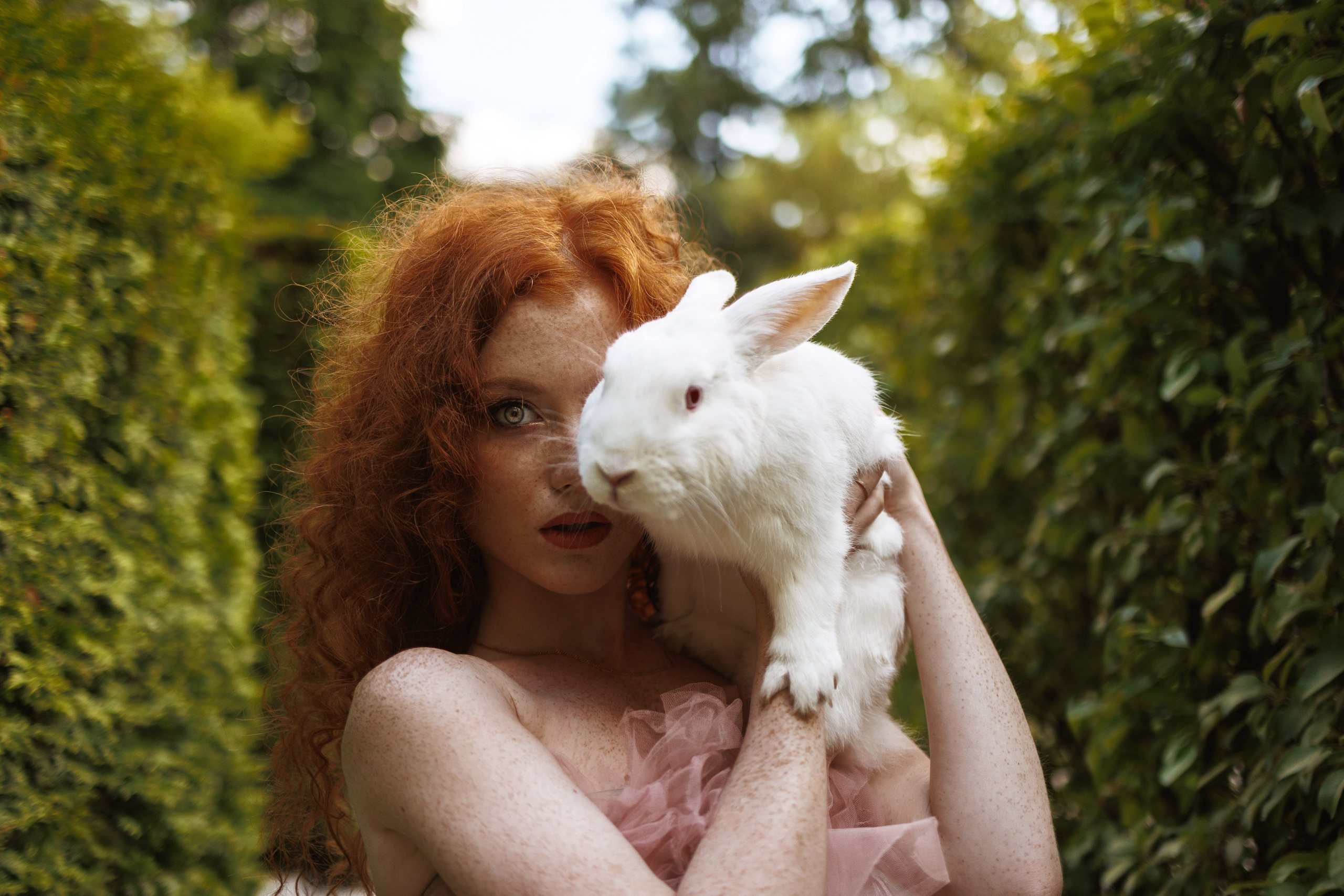 Света «Алиса в стране чудес». Марковкина КрисТина