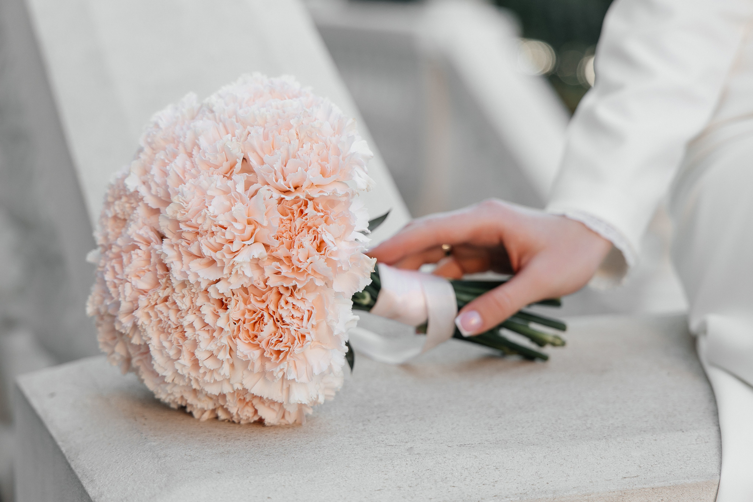 D&L. Фотограф Таганрог Хребет София