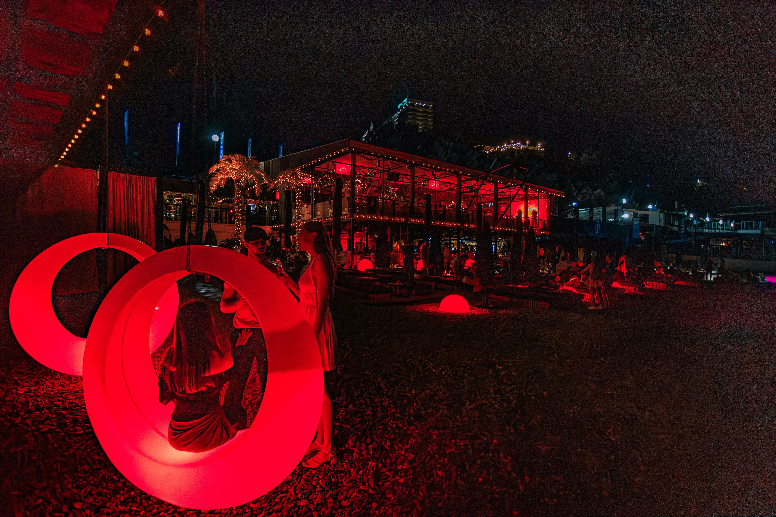 «Митя Фомин"_Чайка на пляже_Ялта_28.06.2025 г. Аминов Руслан | Фотограф