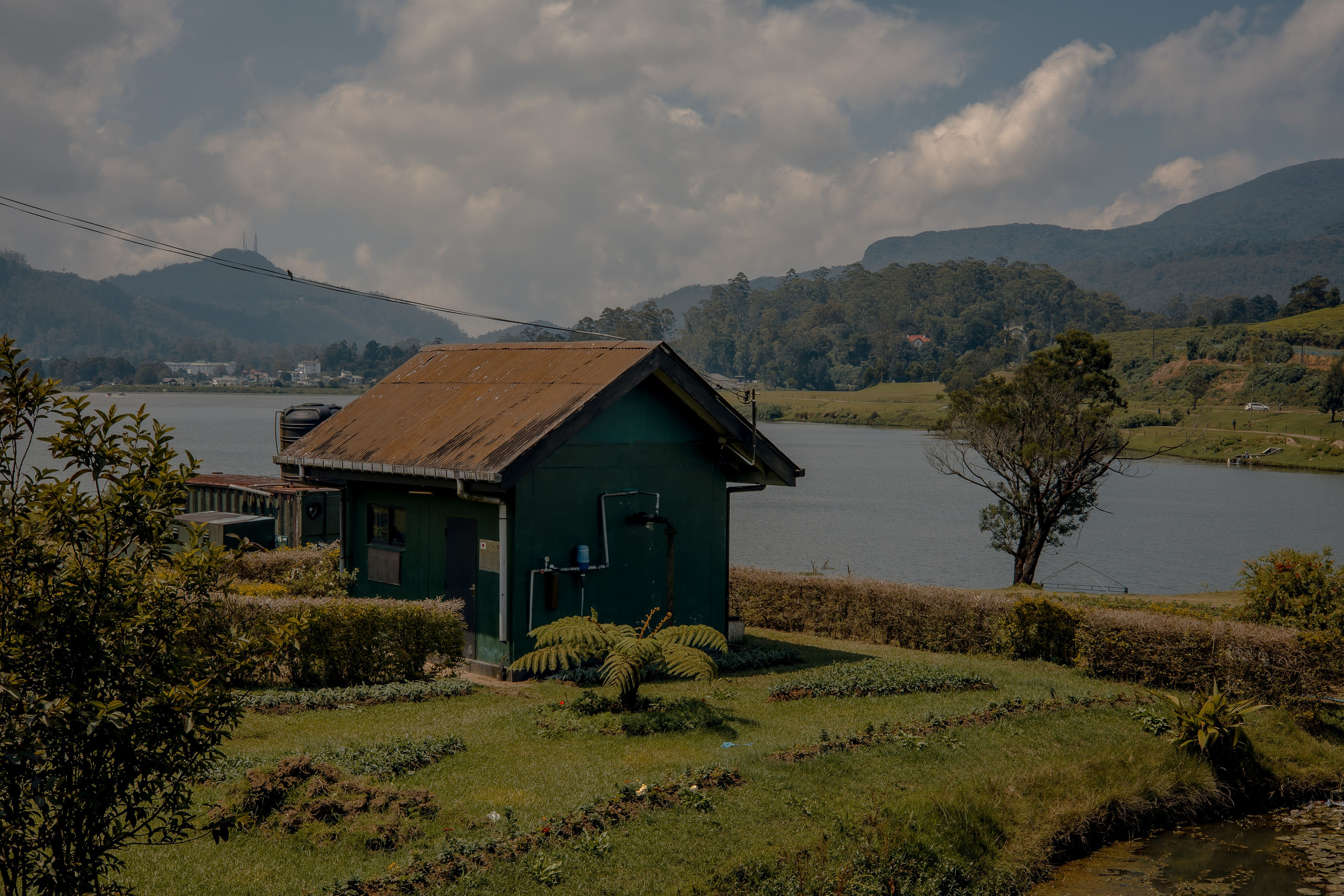 Sri Lanka, Nuwara Elia 2026. Art Photographer