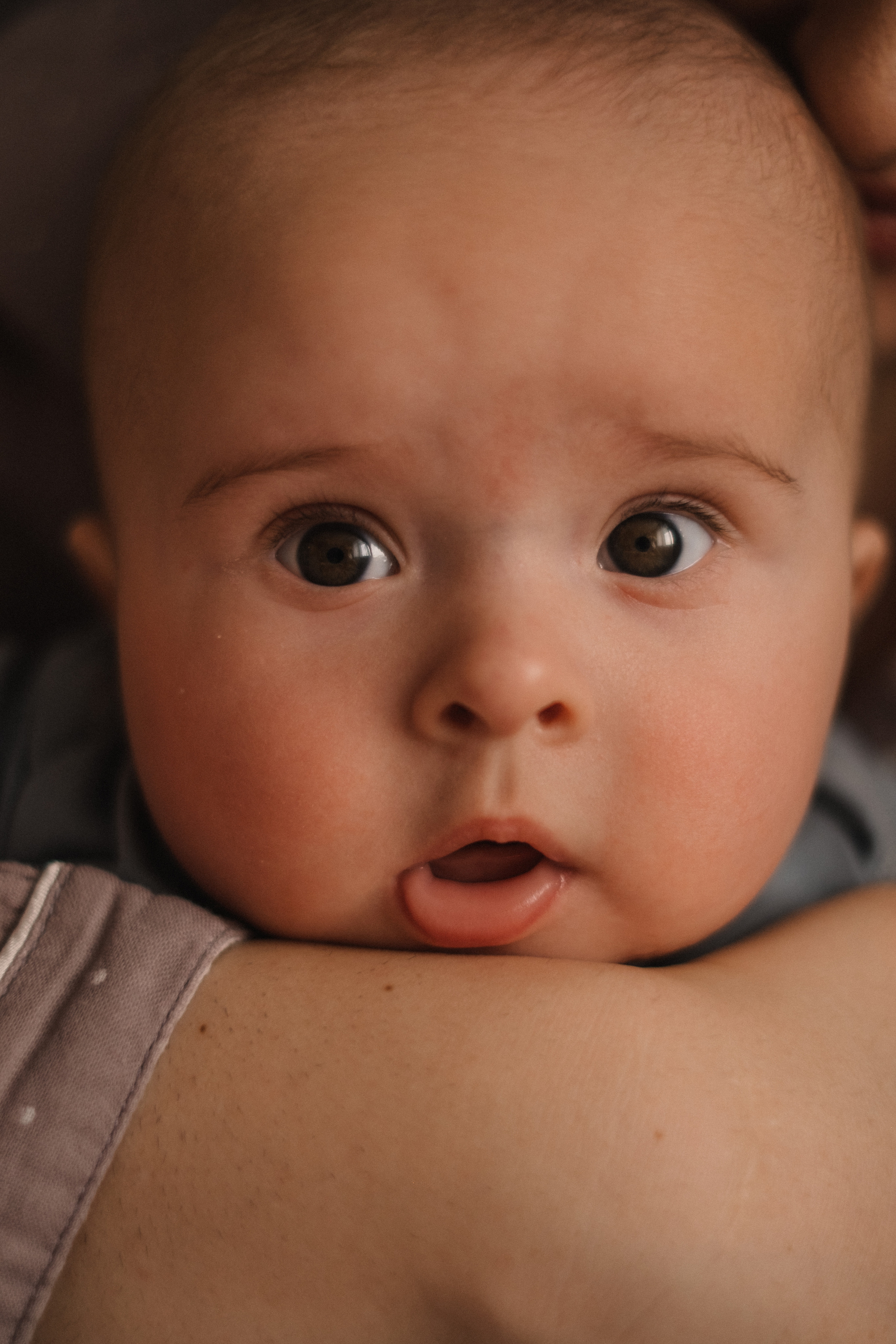 Домашняя фотоистория