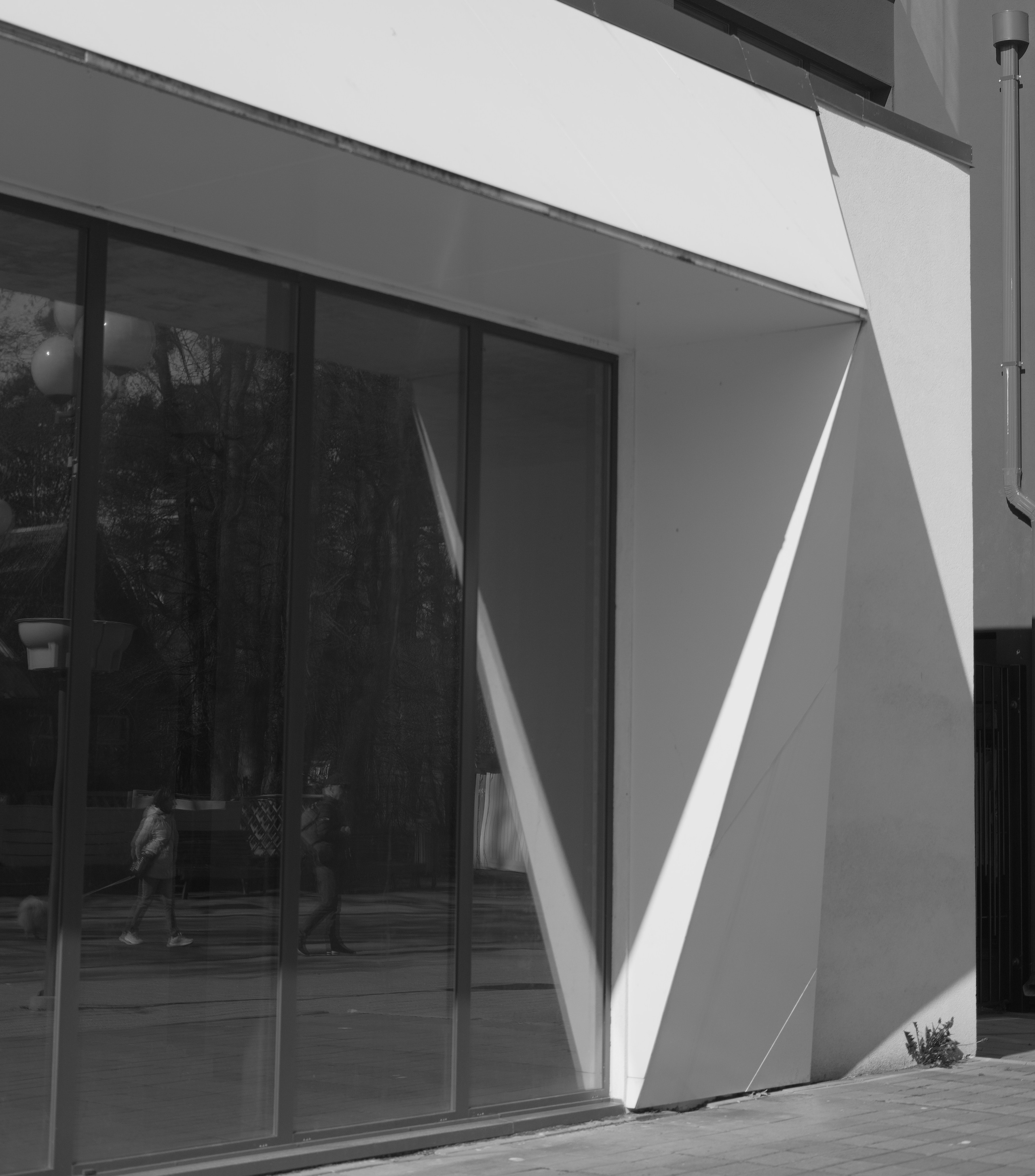 Tales of streets. Visual art from artist Anna Butyrskaia for families and individuals