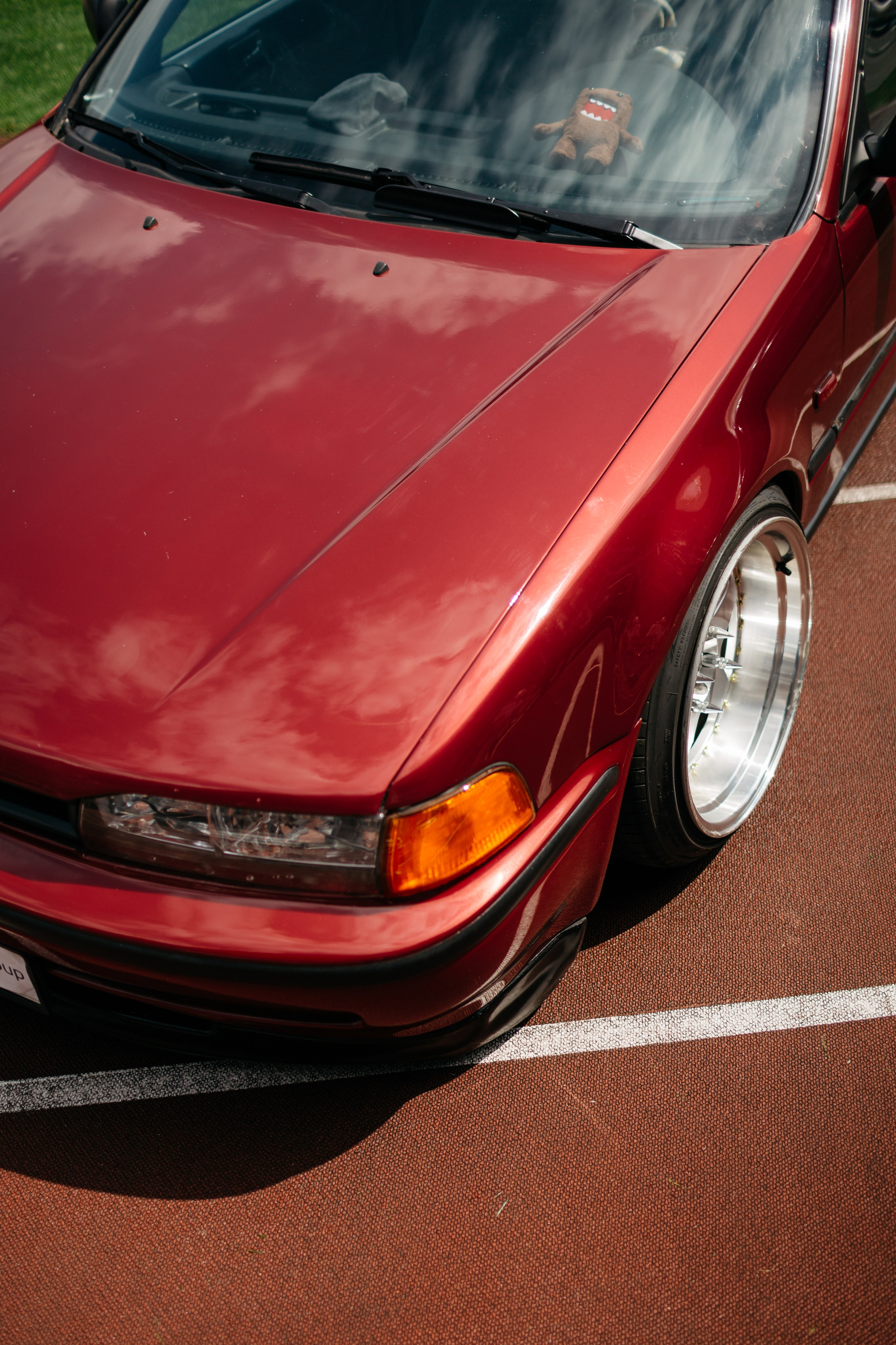 Japlane'24. Свадебный фотограф в Минске Александр Савченко