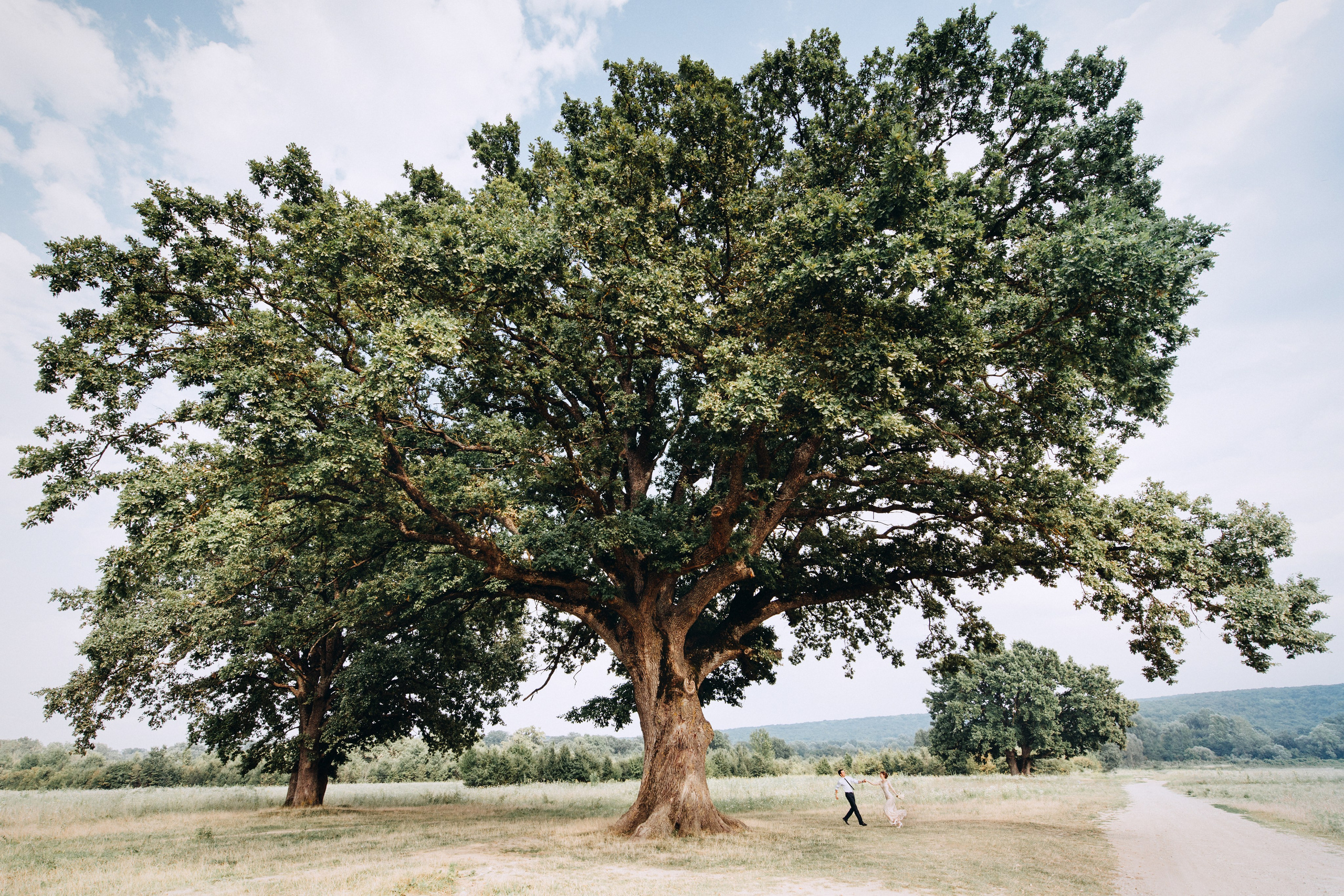 Свадебная съёмка. Фотограф Александр Фёдоров