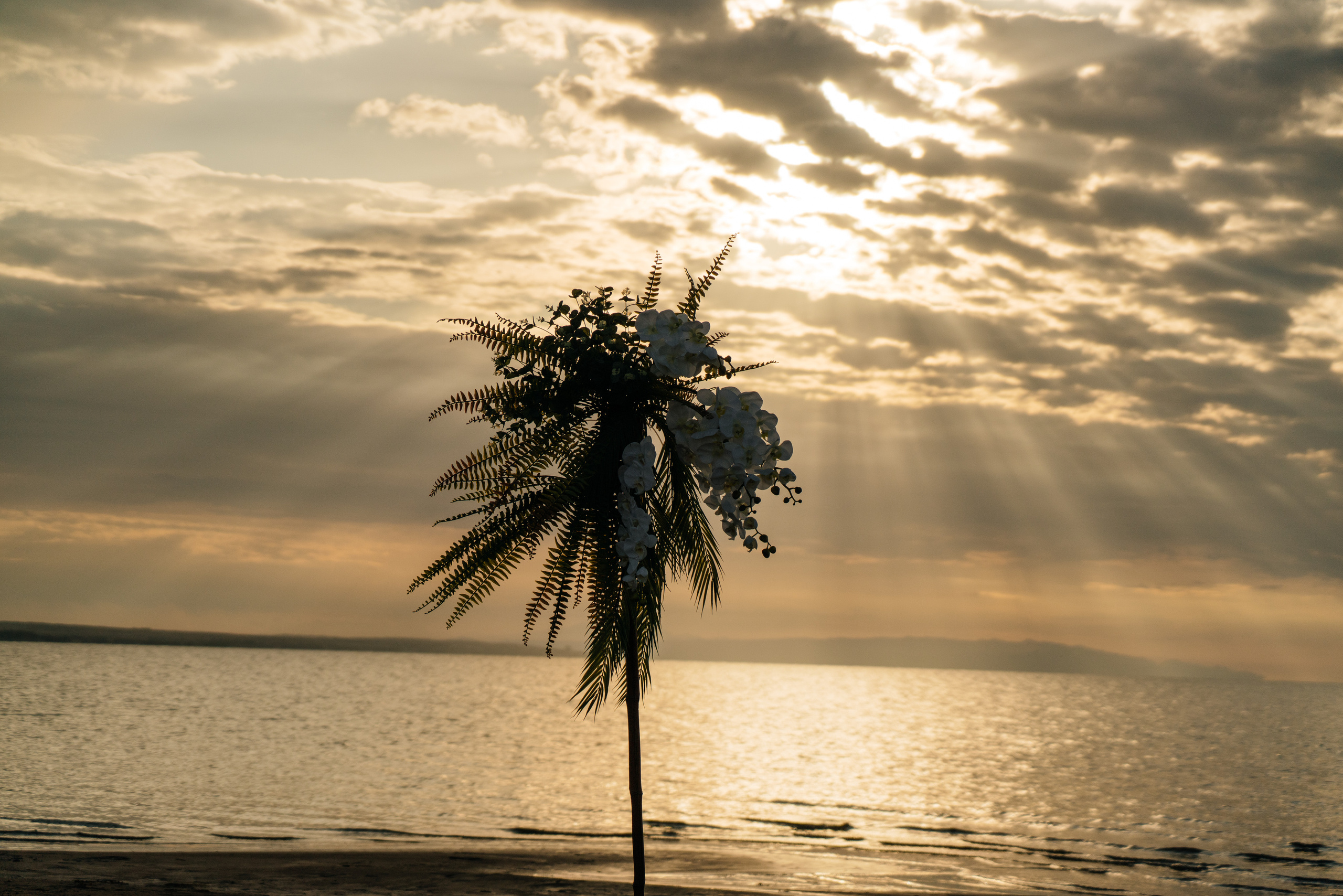 Алина & Николай. Свадебный фотограф алматы Шожебаев Кайрат