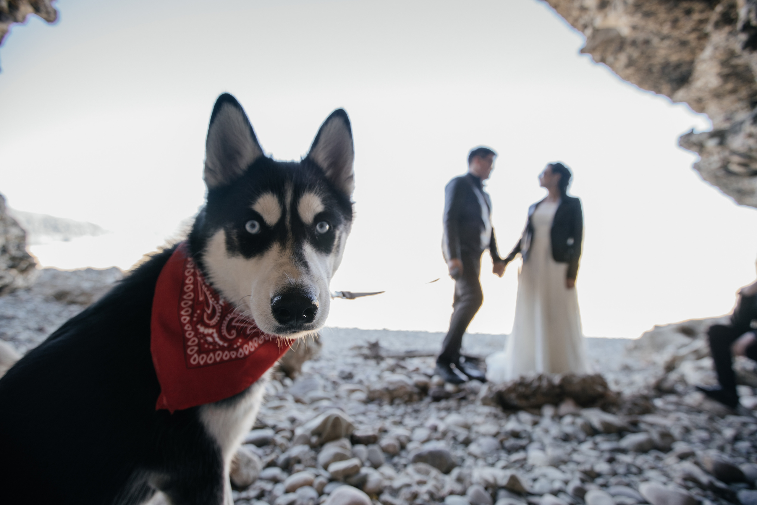 Наташа & Жигер. Свадебный фотограф алматы Шожебаев Кайрат