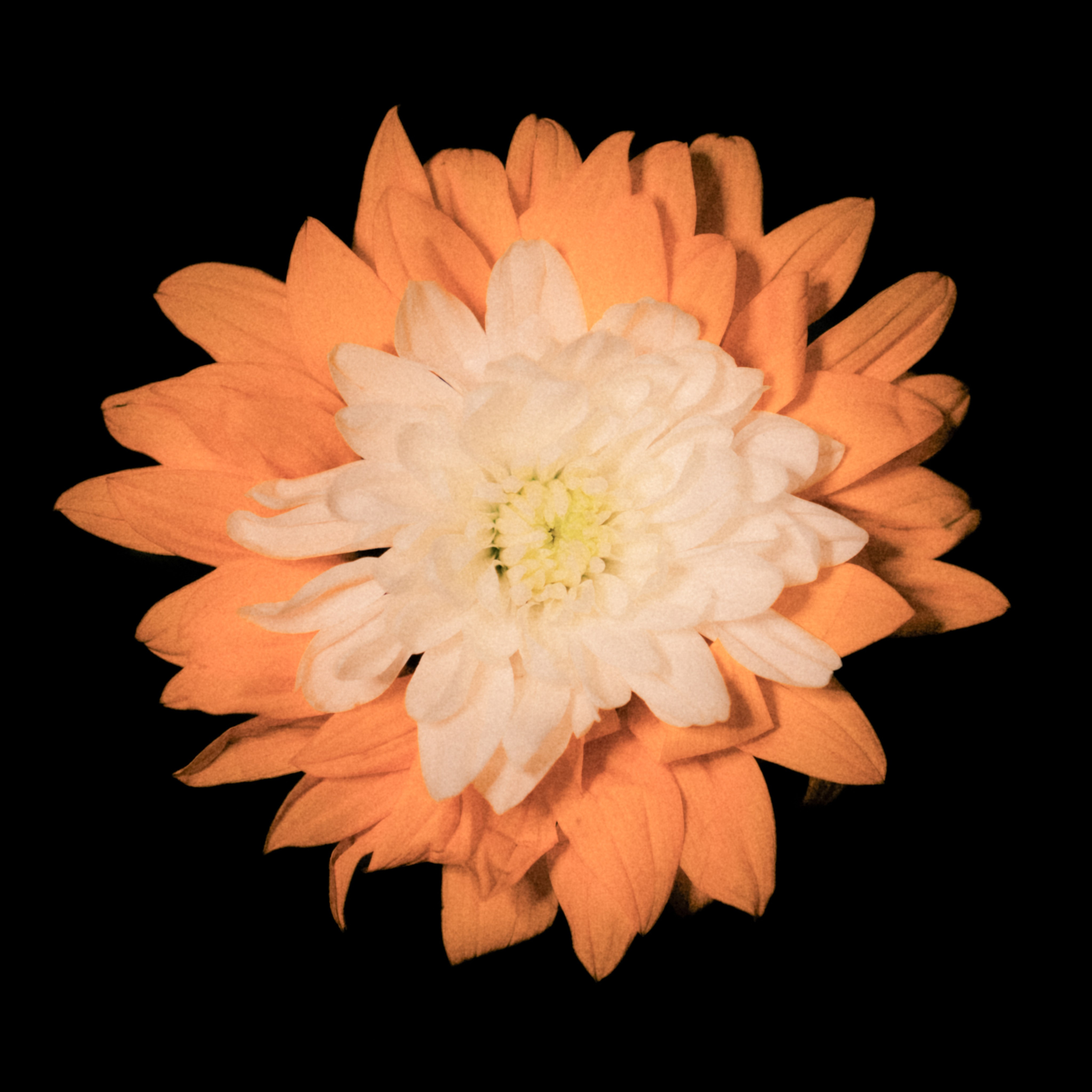 Единство (серия). Мистические фотосессии в Санкт-Петербурге от мистика Ильи Шенгелия