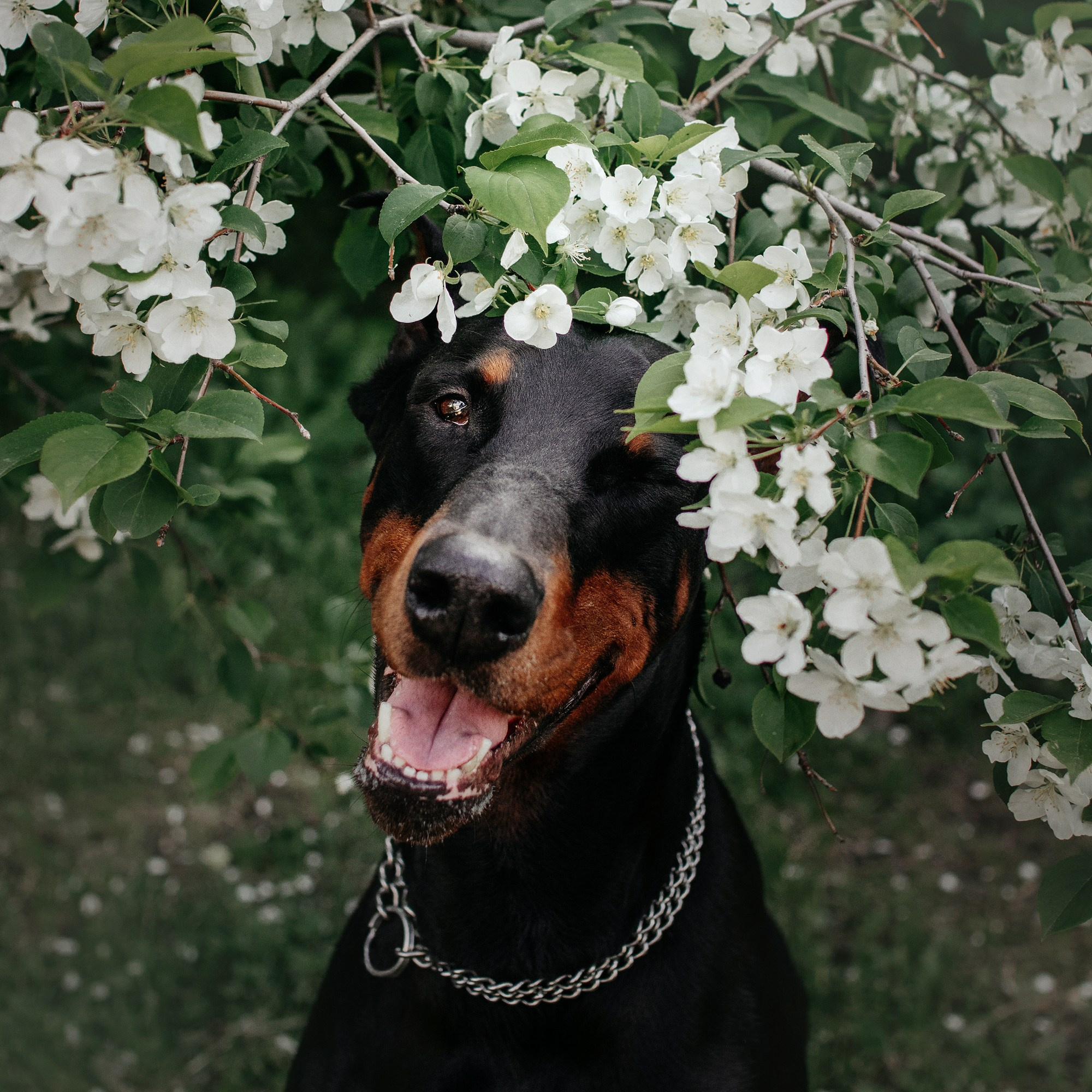 Вера и Люк. Фотограф Наталья Потапова