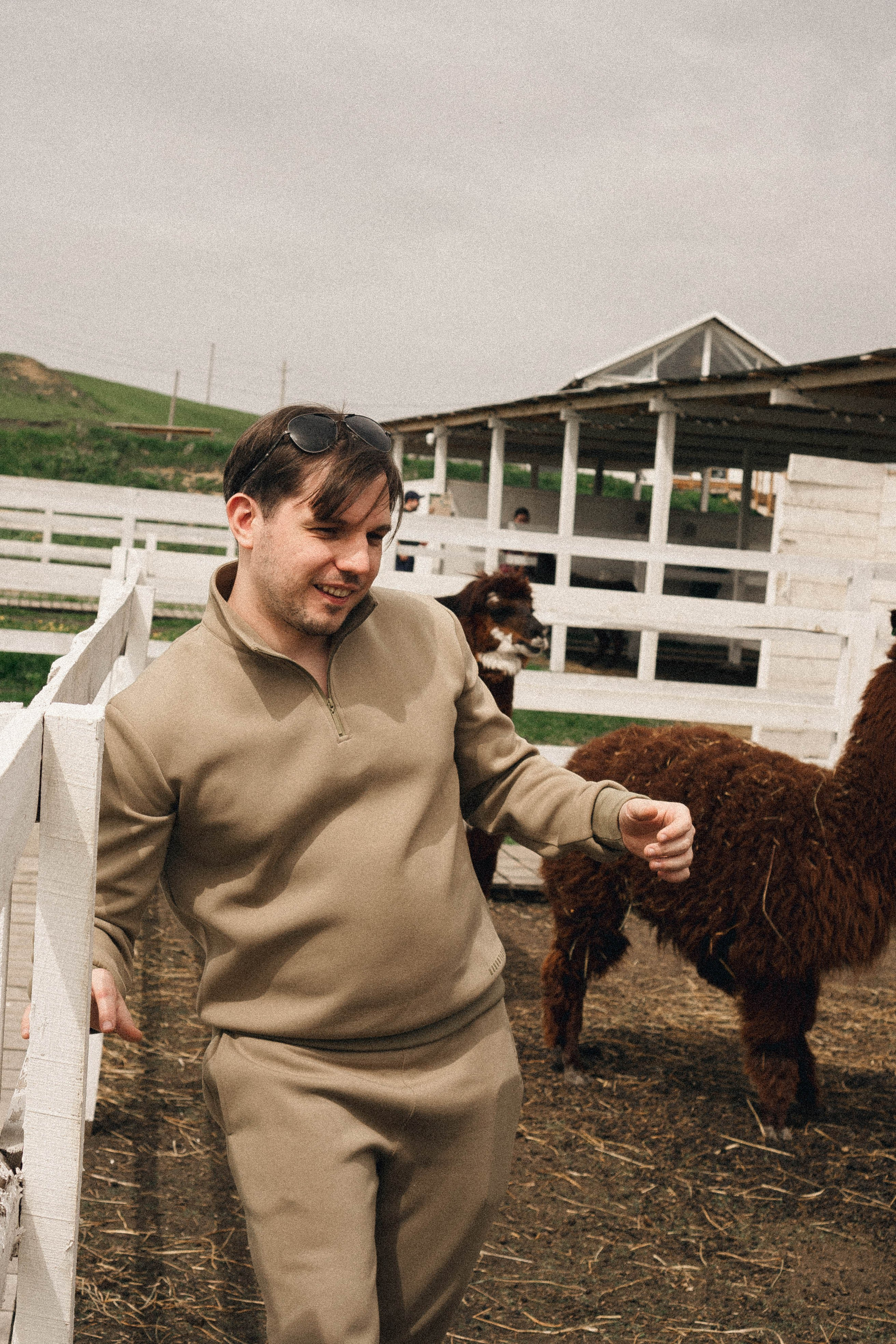 Ферма Альпак. Профессиональный фотограф, Санкт-Петербург — Виктория Богомолова