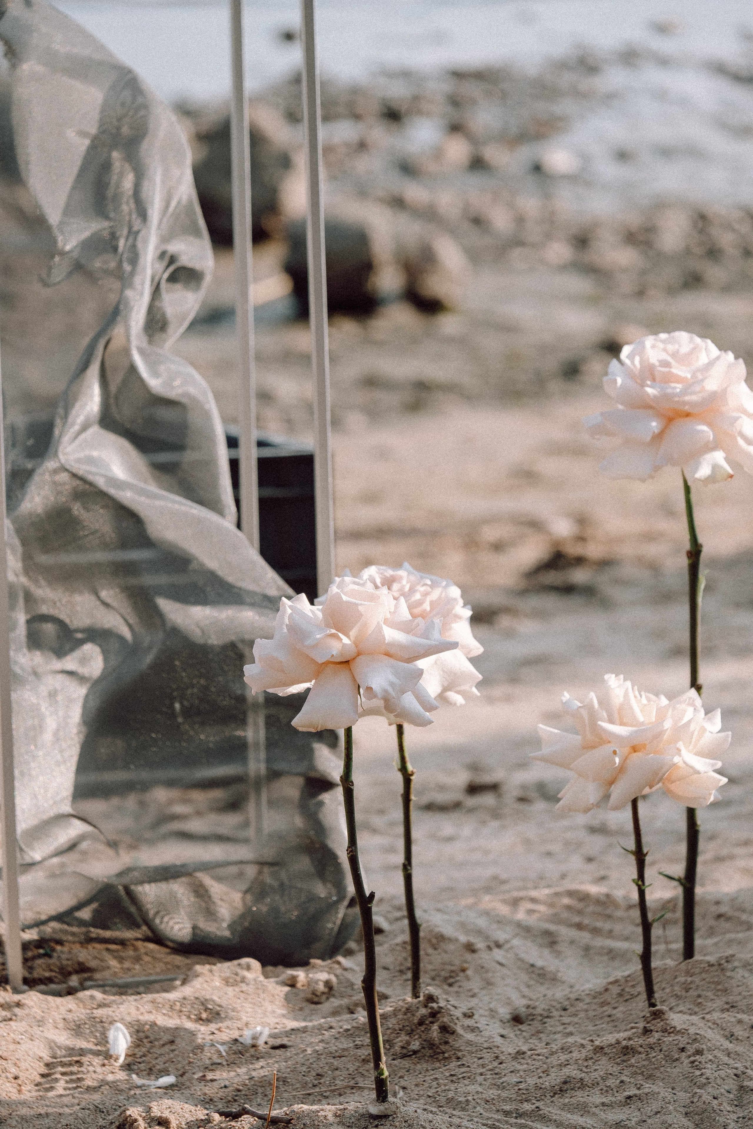 СВАДЕБНАЯ ФОТОСЕССИЯ ВЫЕЗДНОЙ ЦЕРЕМОНИИ (ФИНСКИЙ ЗАЛИВ). Профессиональный фотограф, Санкт-Петербург — Виктория Богомолова
