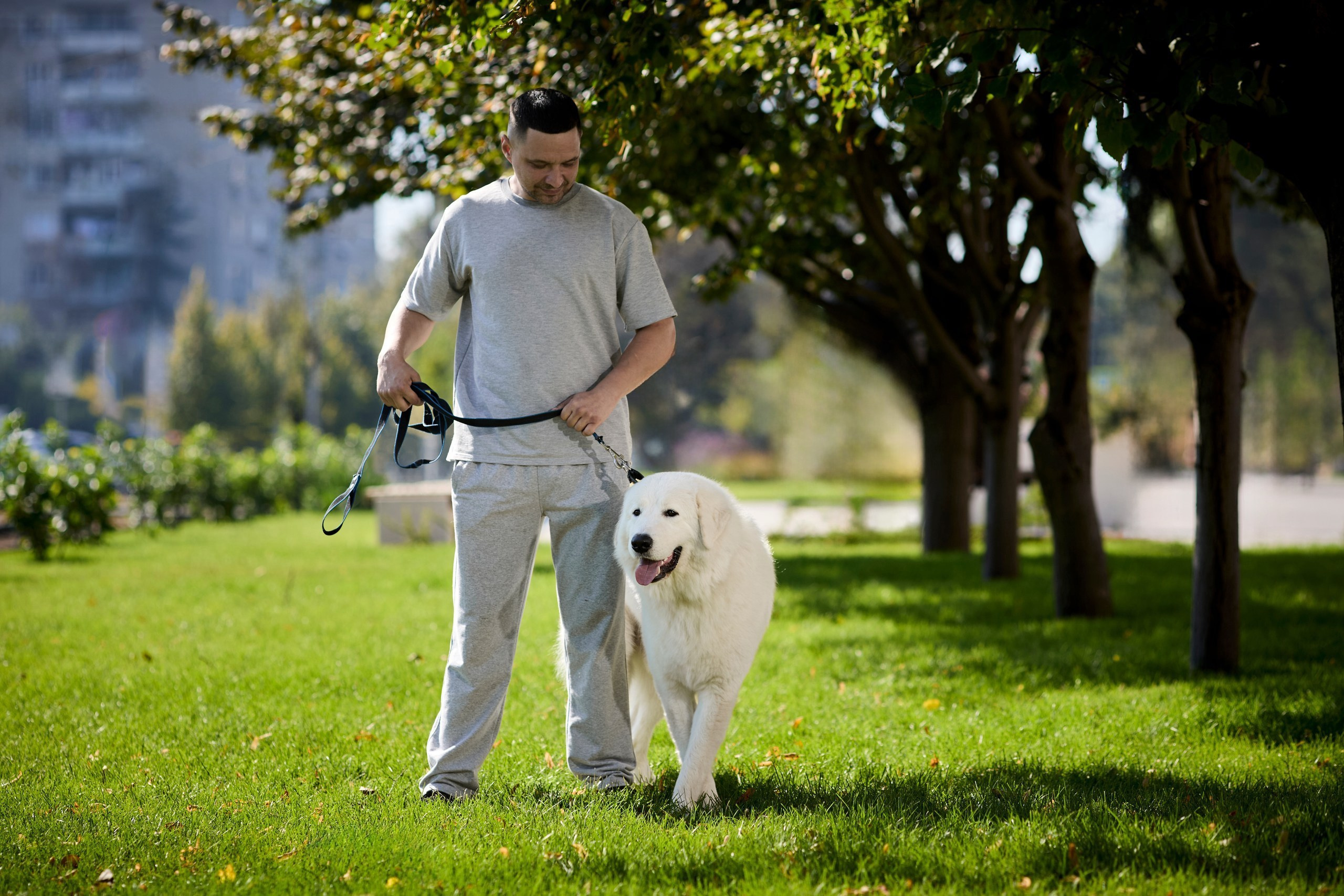 Фотопрогулки с собакой
