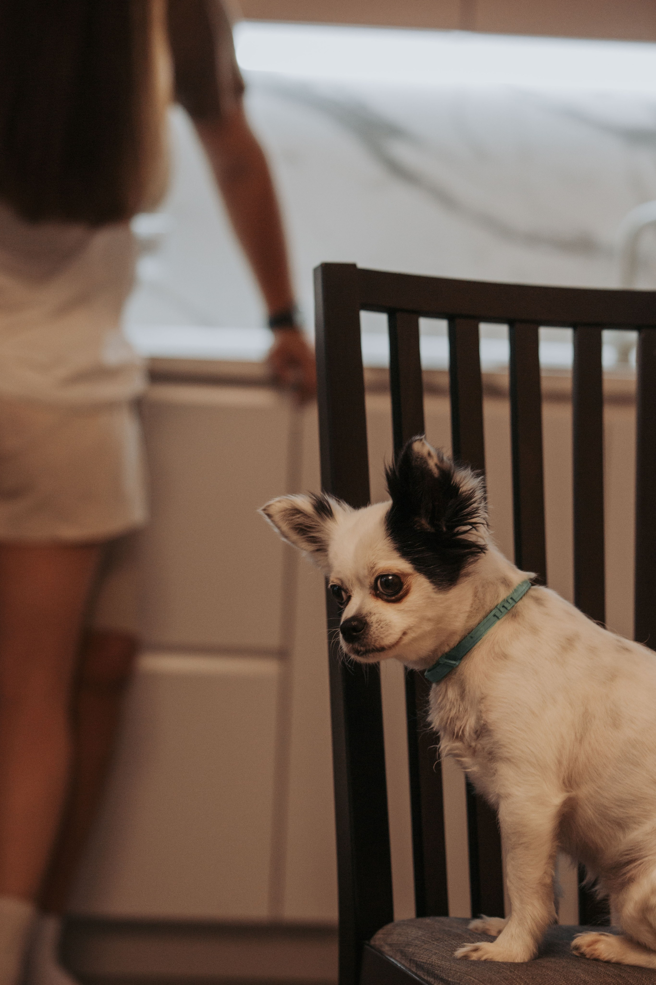 Лера и Максим. Фотограф Виктория Куприянова