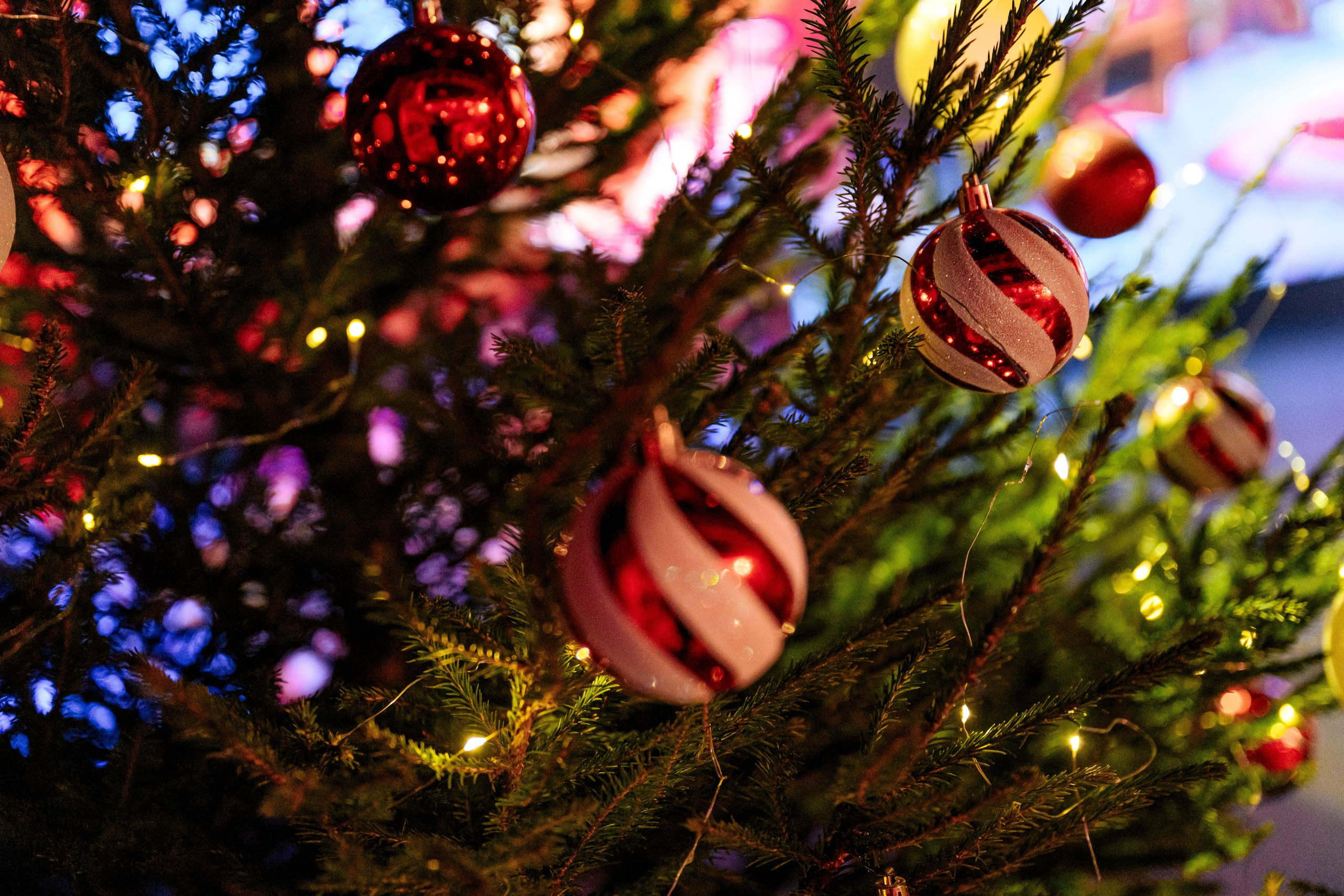 Дети России Ёлка. Максим Комаров — Профессиональный фотограф